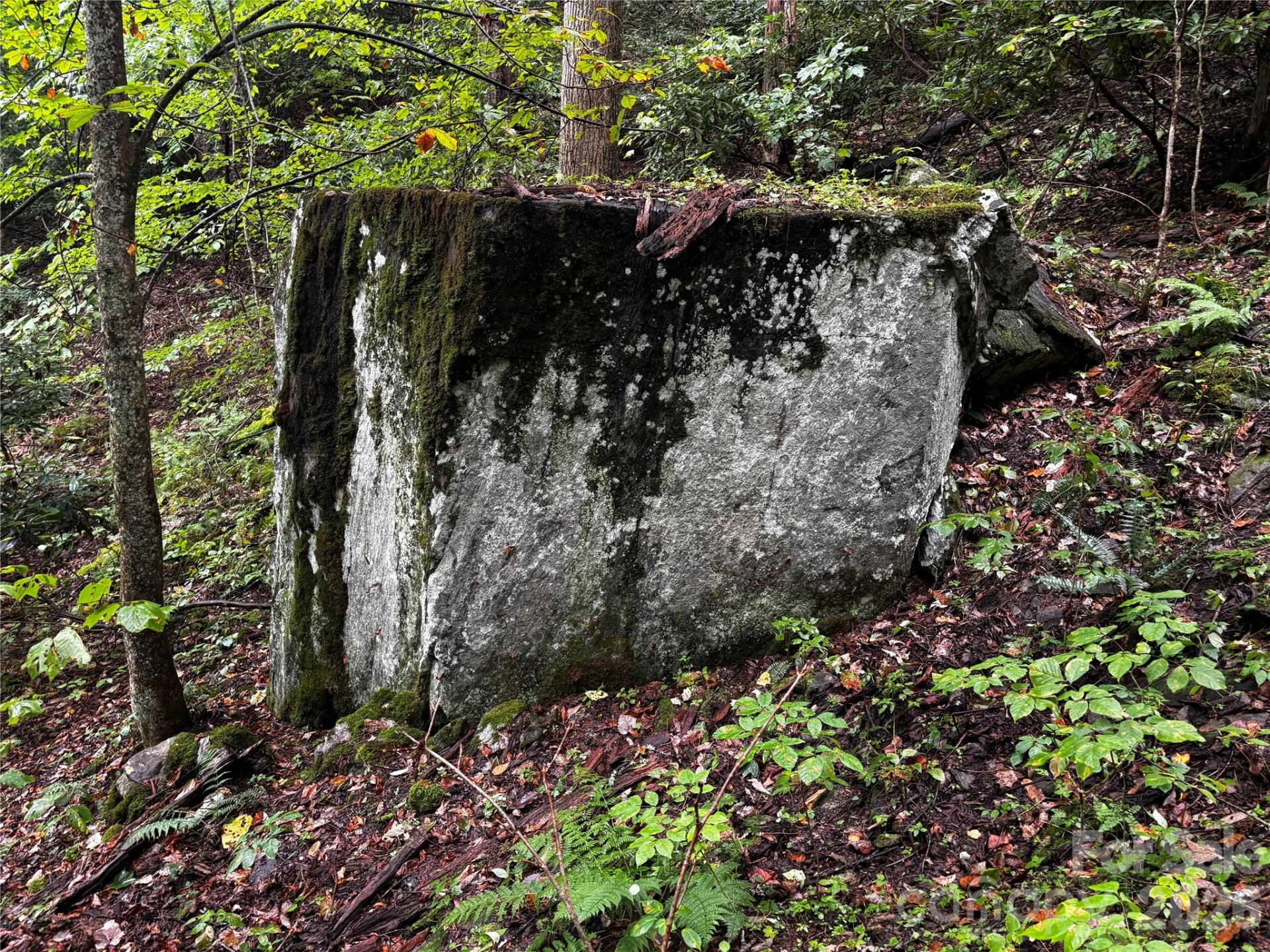 TBD Big Pine Road - Photo 13