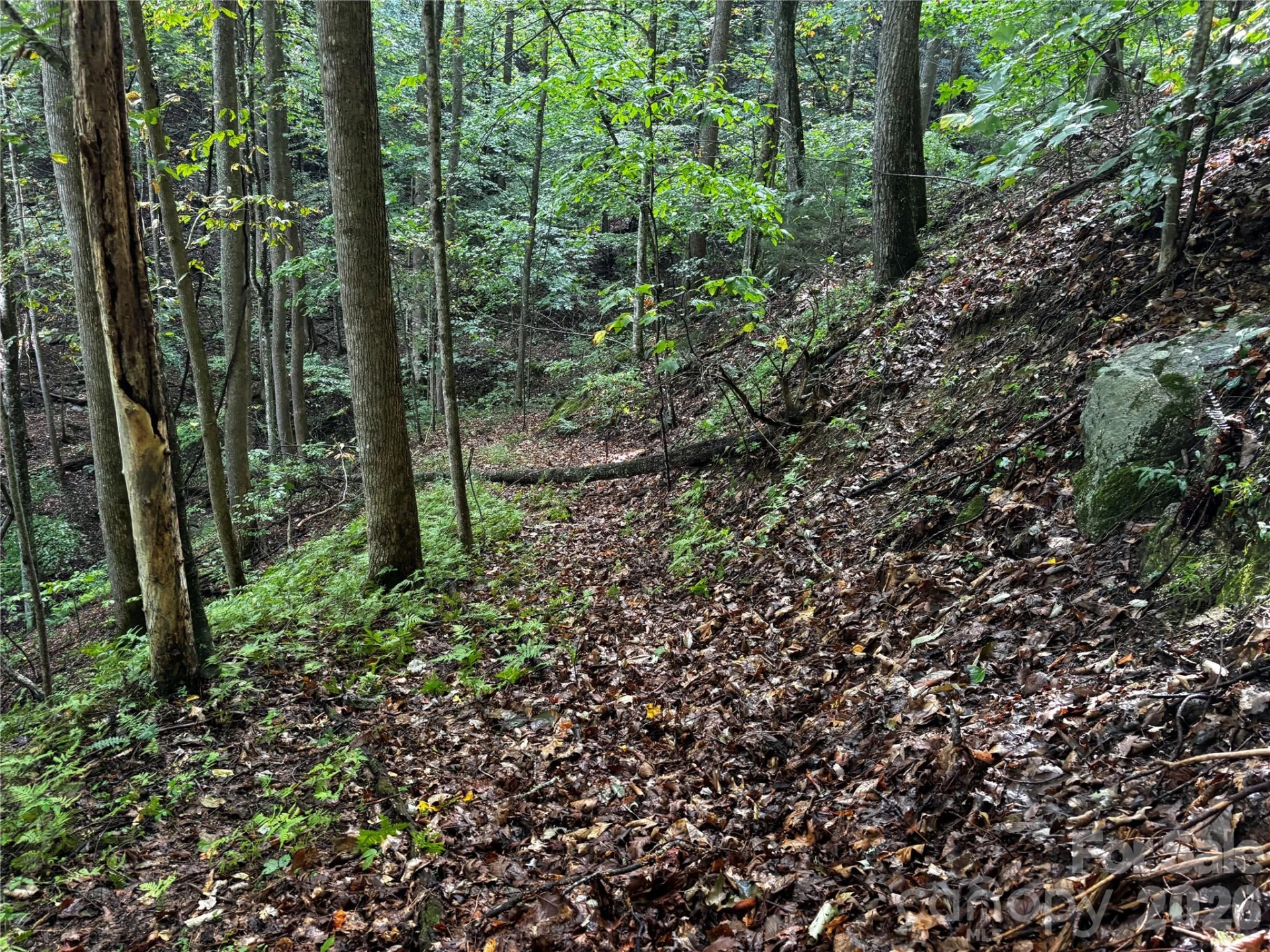 TBD Big Pine Road - Photo 15