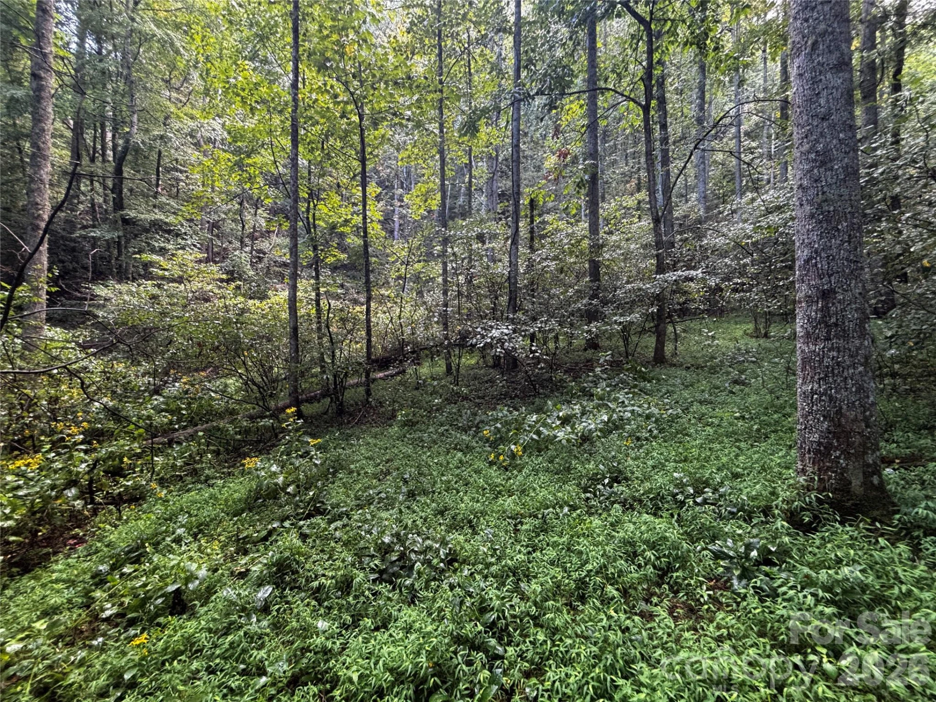 TBD Big Pine Road - Photo 17