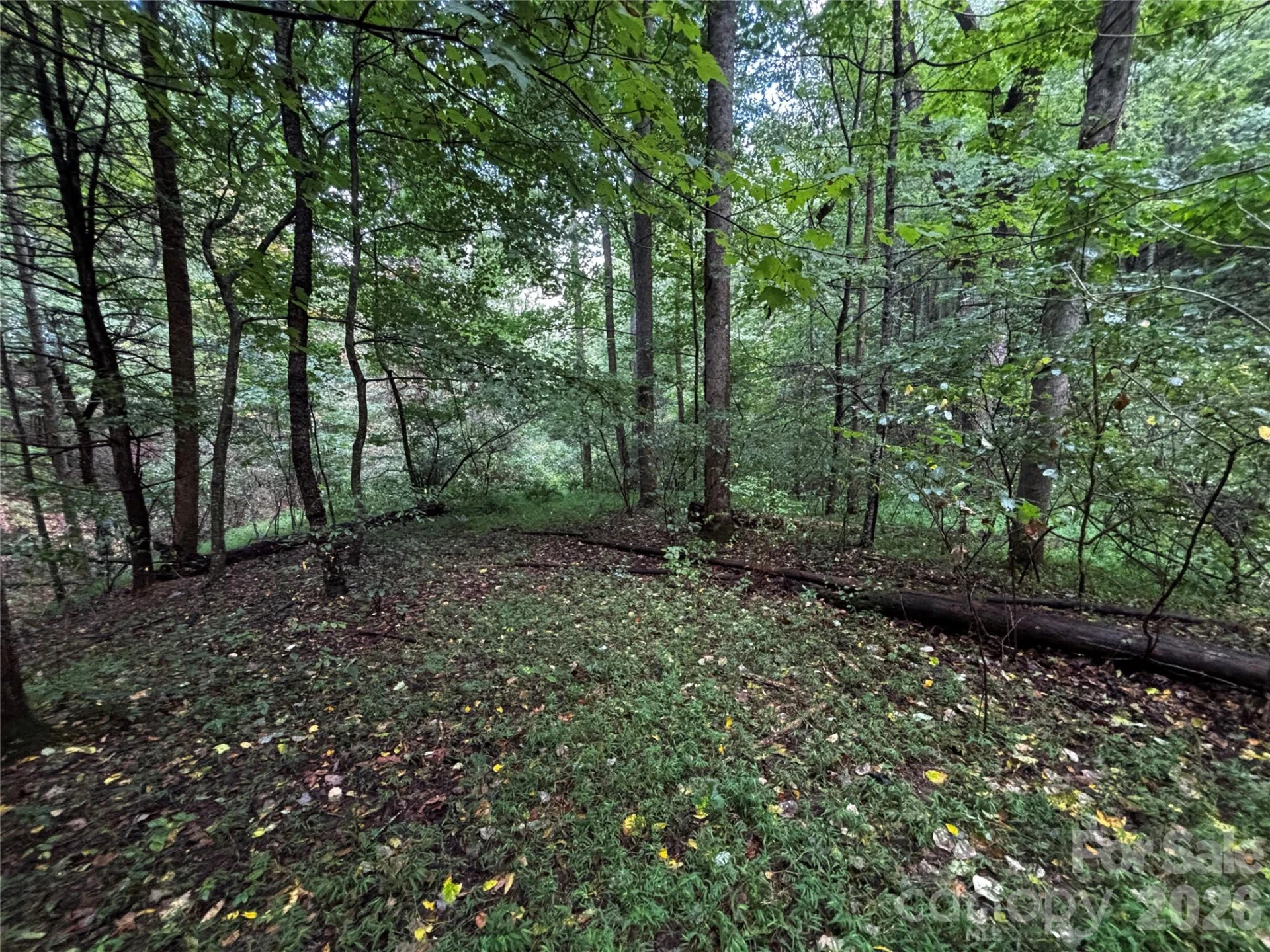 TBD Big Pine Road - Photo 18