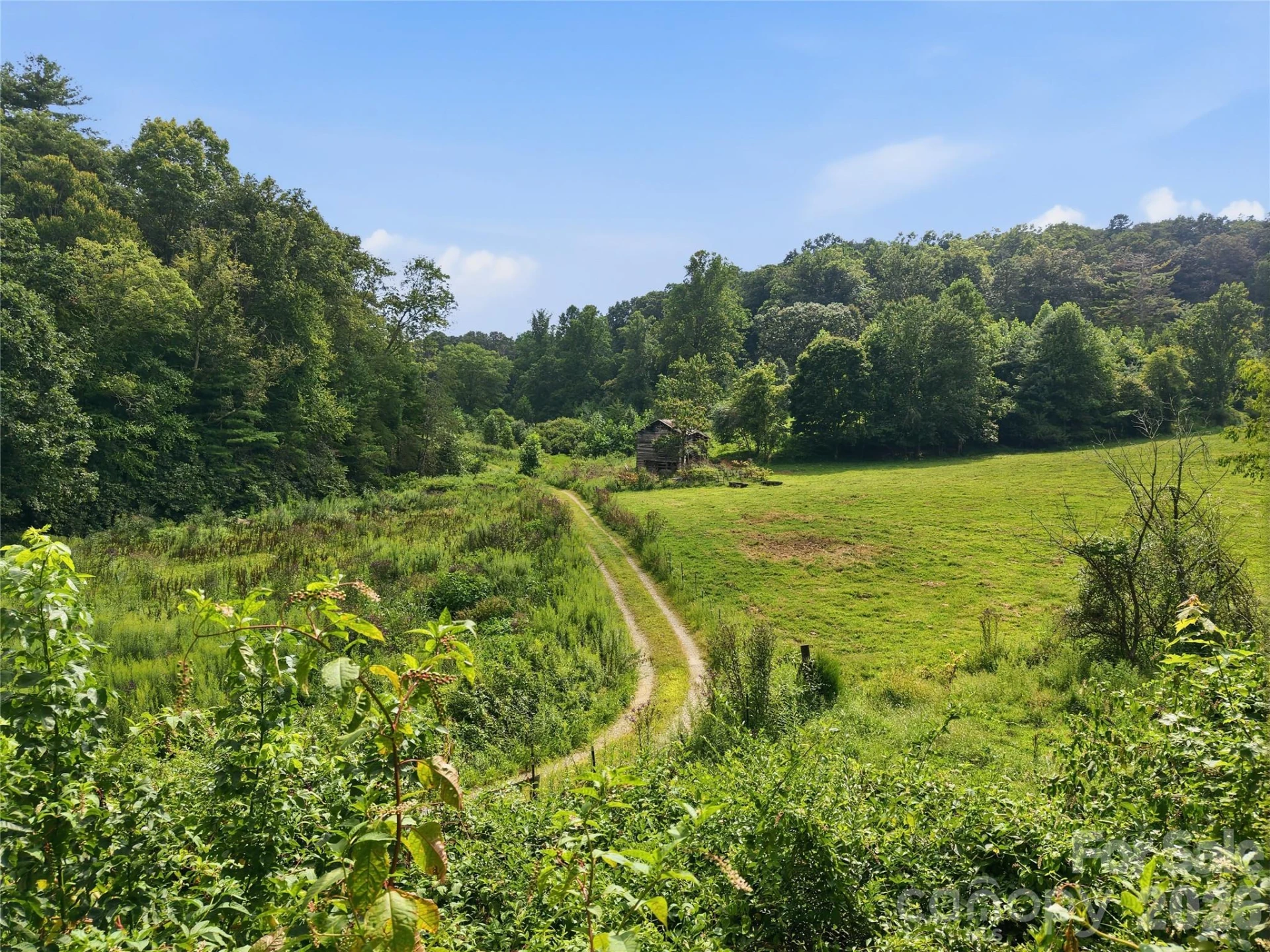 00000 Whippoorwill Lane