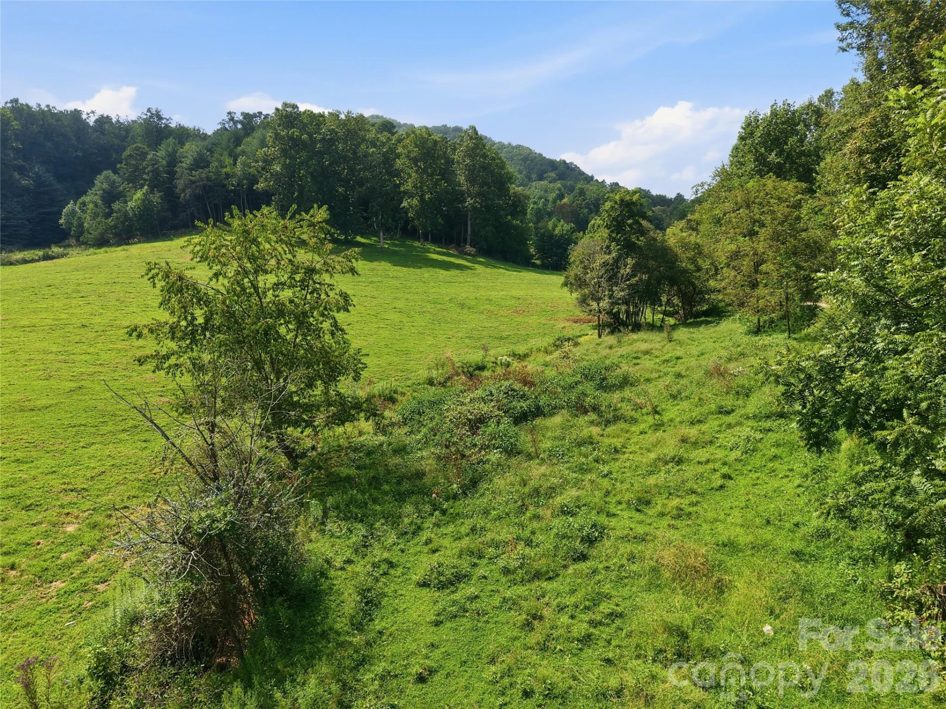 00000 Whippoorwill Lane - Photo 2