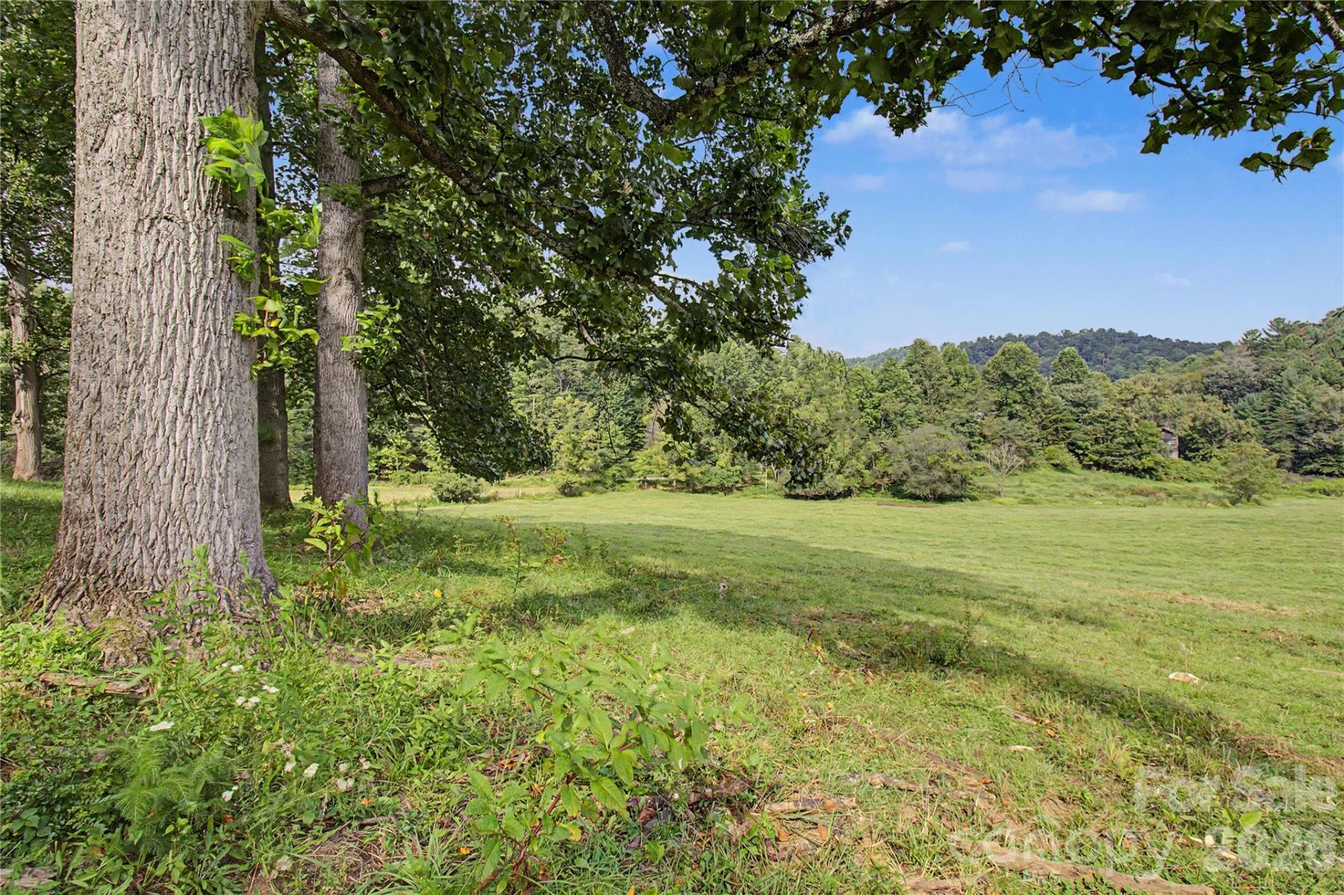 00000 Whippoorwill Lane - Photo 3