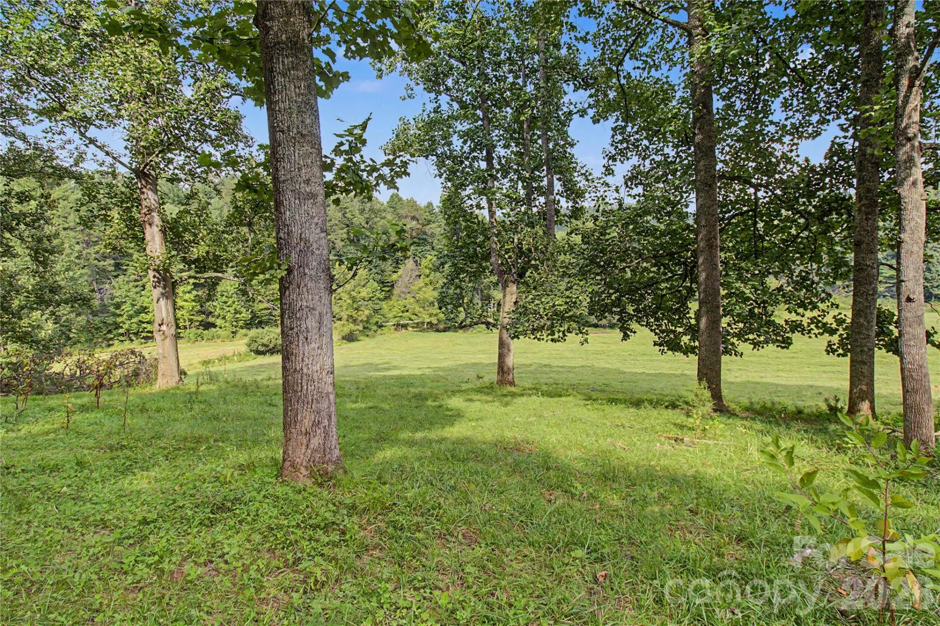 00000 Whippoorwill Lane - Photo 4