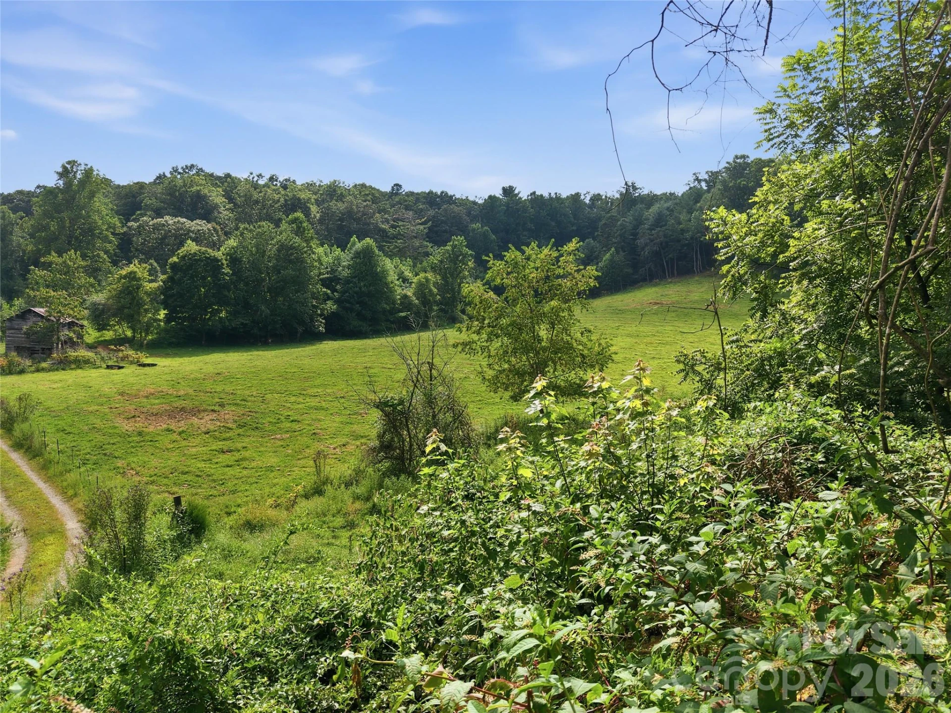 00000 Whippoorwill Lane - Photo 6