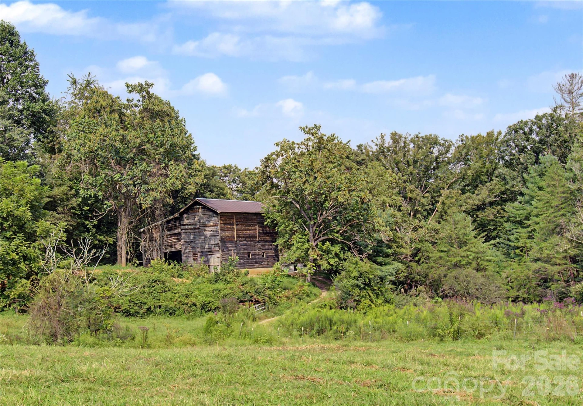 00000 Whippoorwill Lane - Photo 8