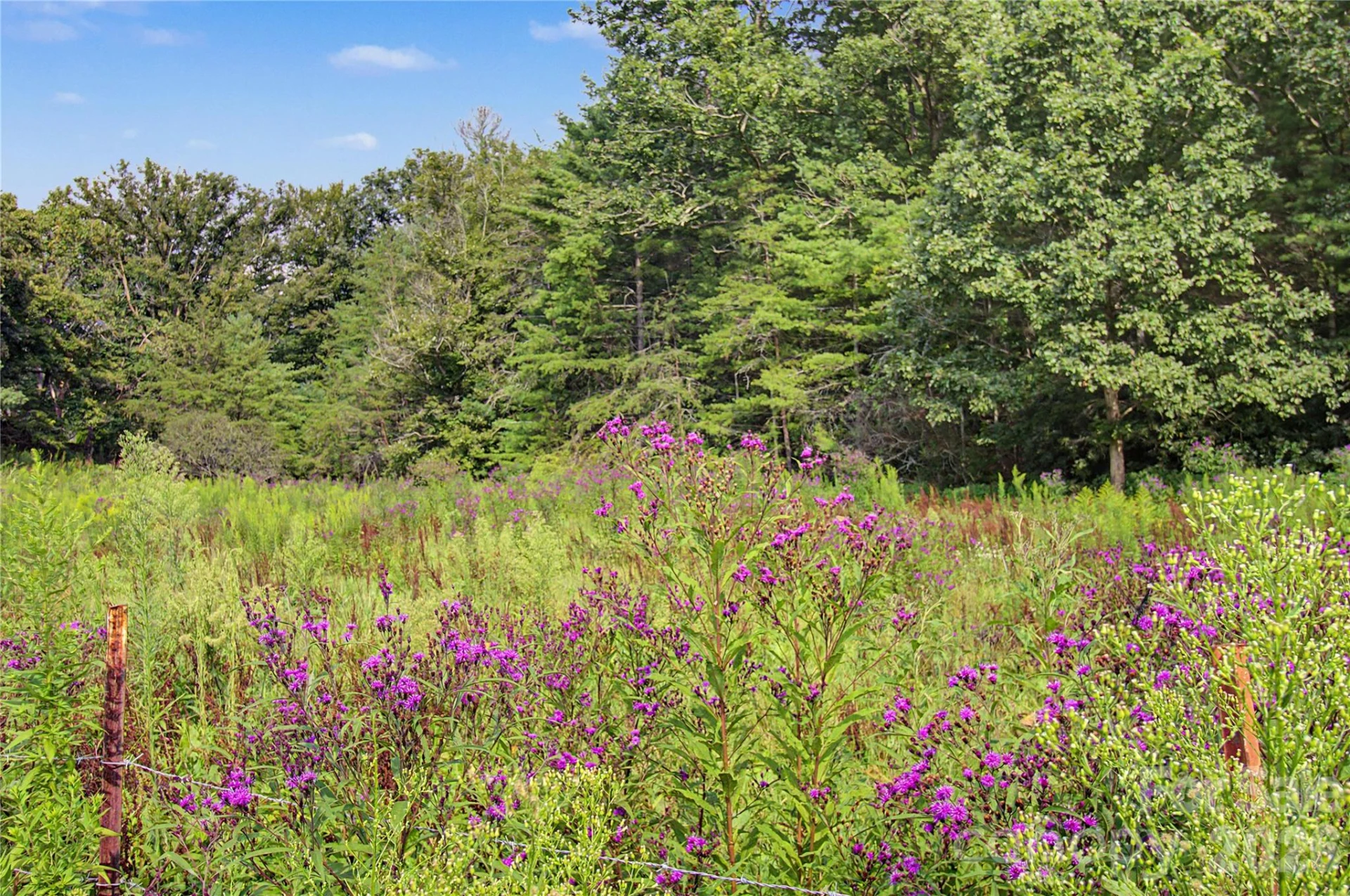 00000 Whippoorwill Lane - Photo 9