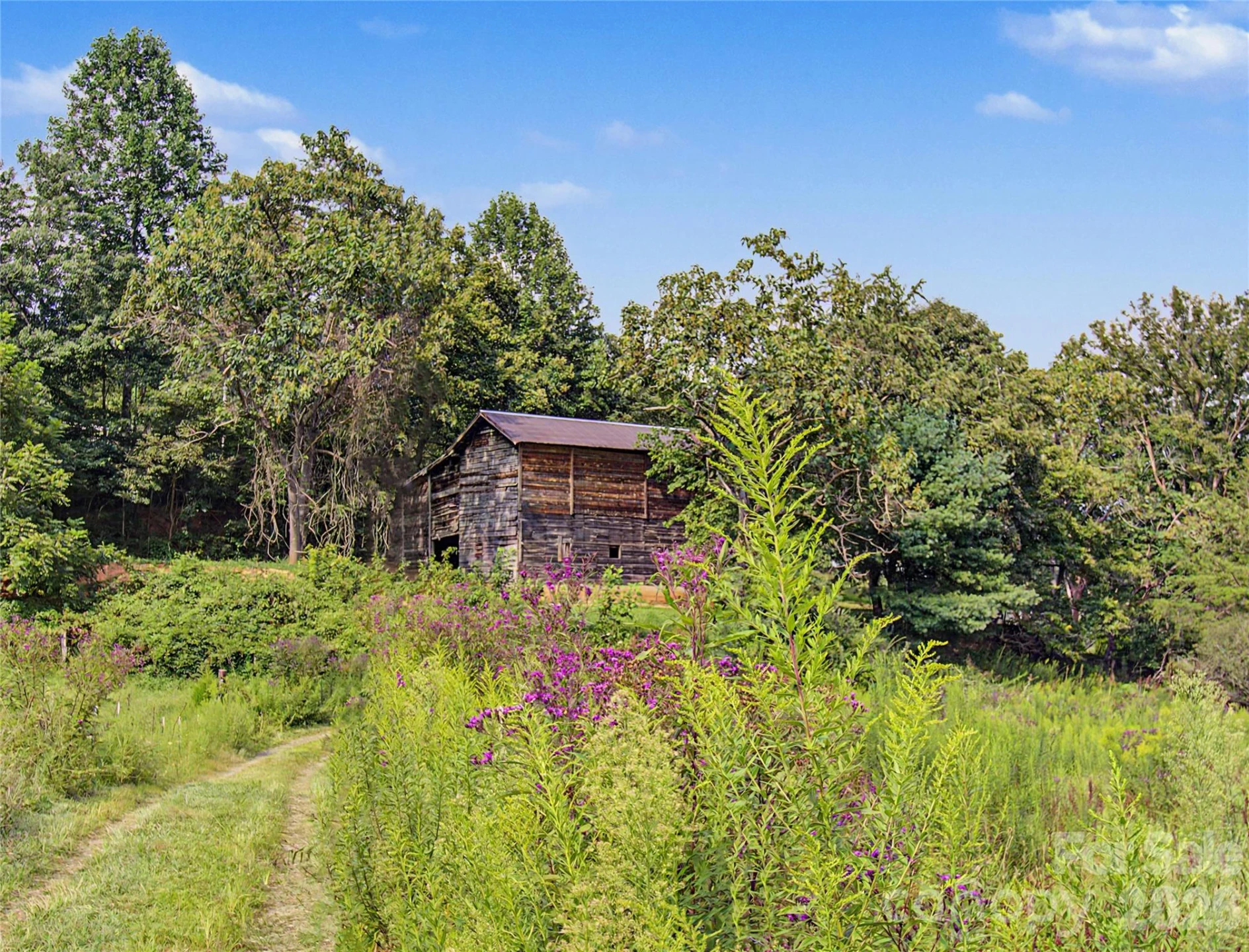 00000 Whippoorwill Lane - Photo 10