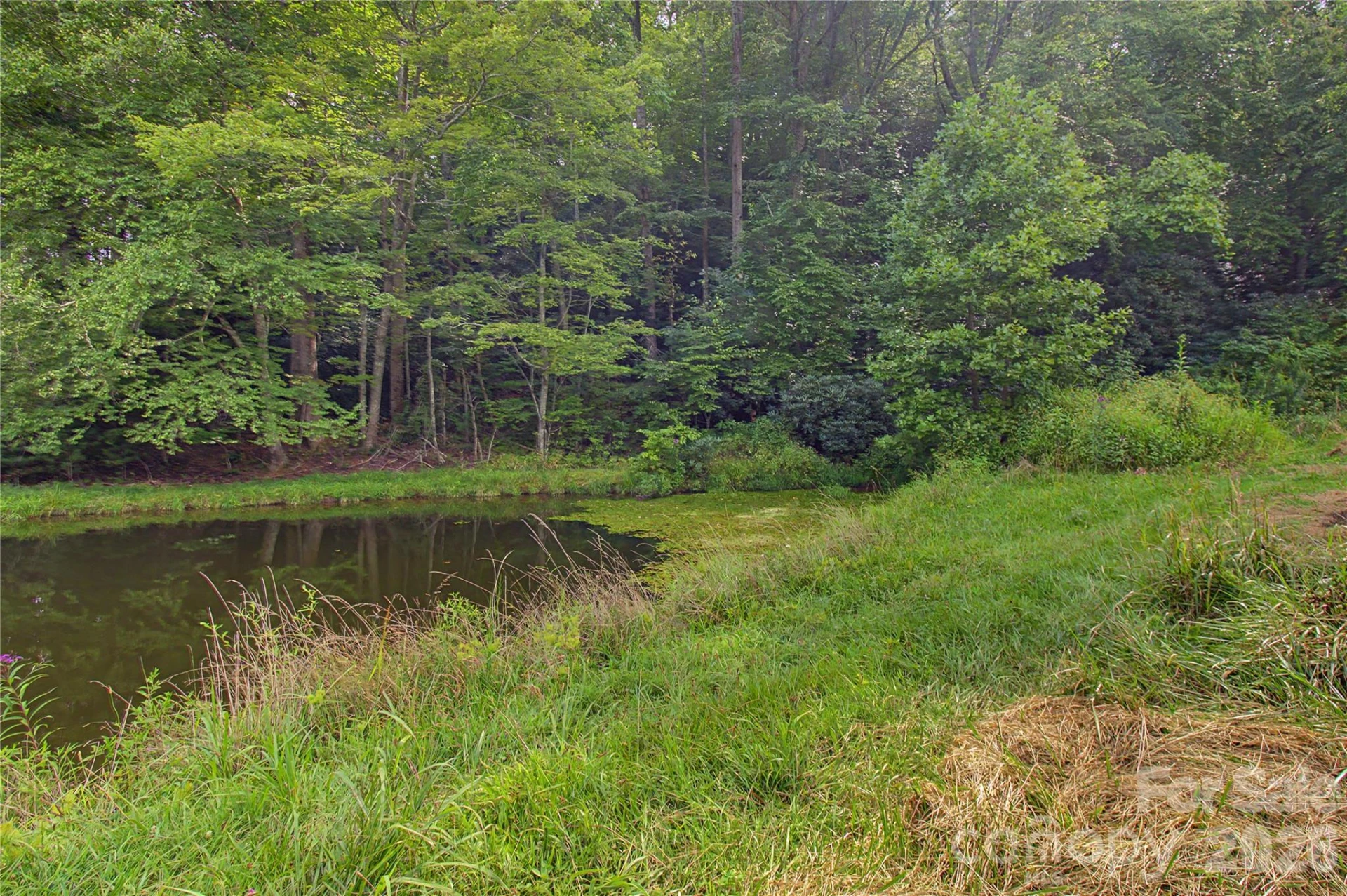 00000 Whippoorwill Lane - Photo 11