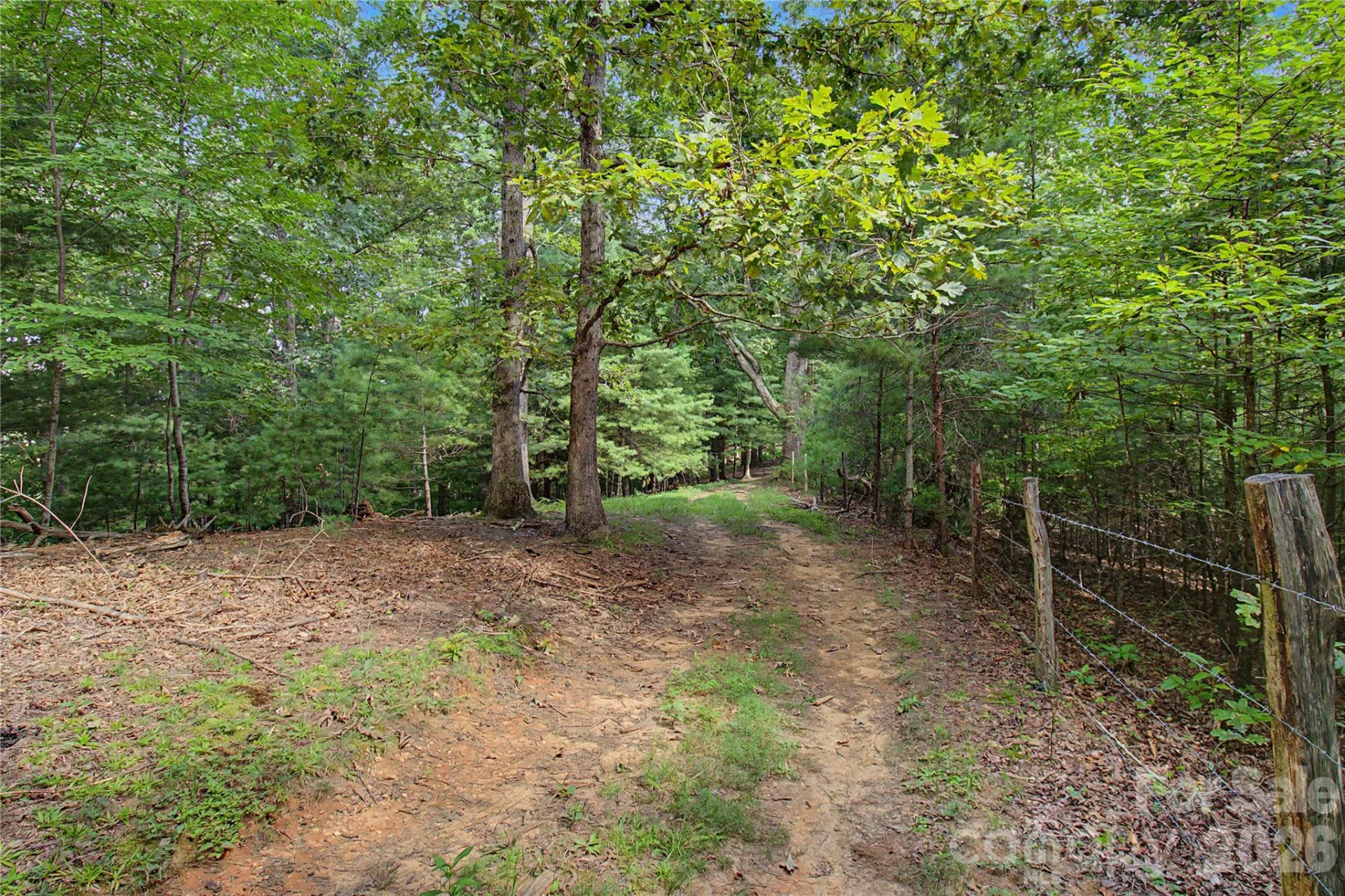 00000 Whippoorwill Lane - Photo 15