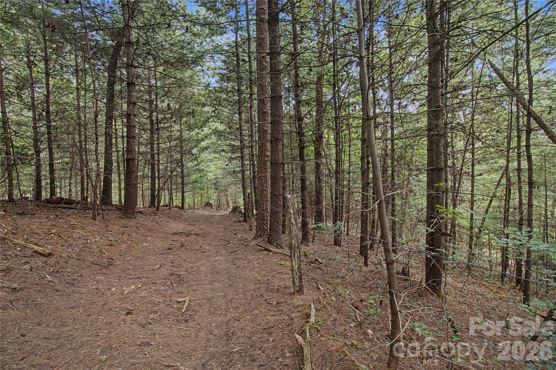 00000 Whippoorwill Lane - Photo 16