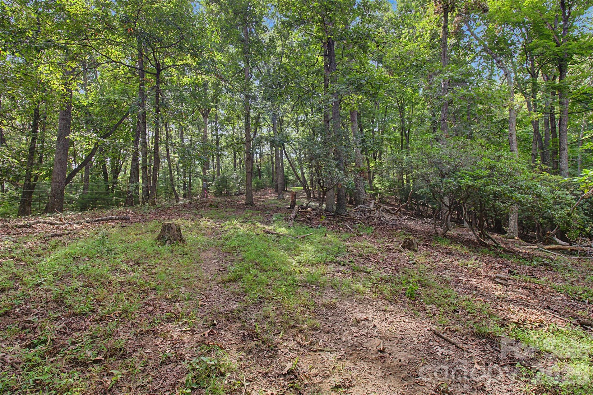 00000 Whippoorwill Lane - Photo 18