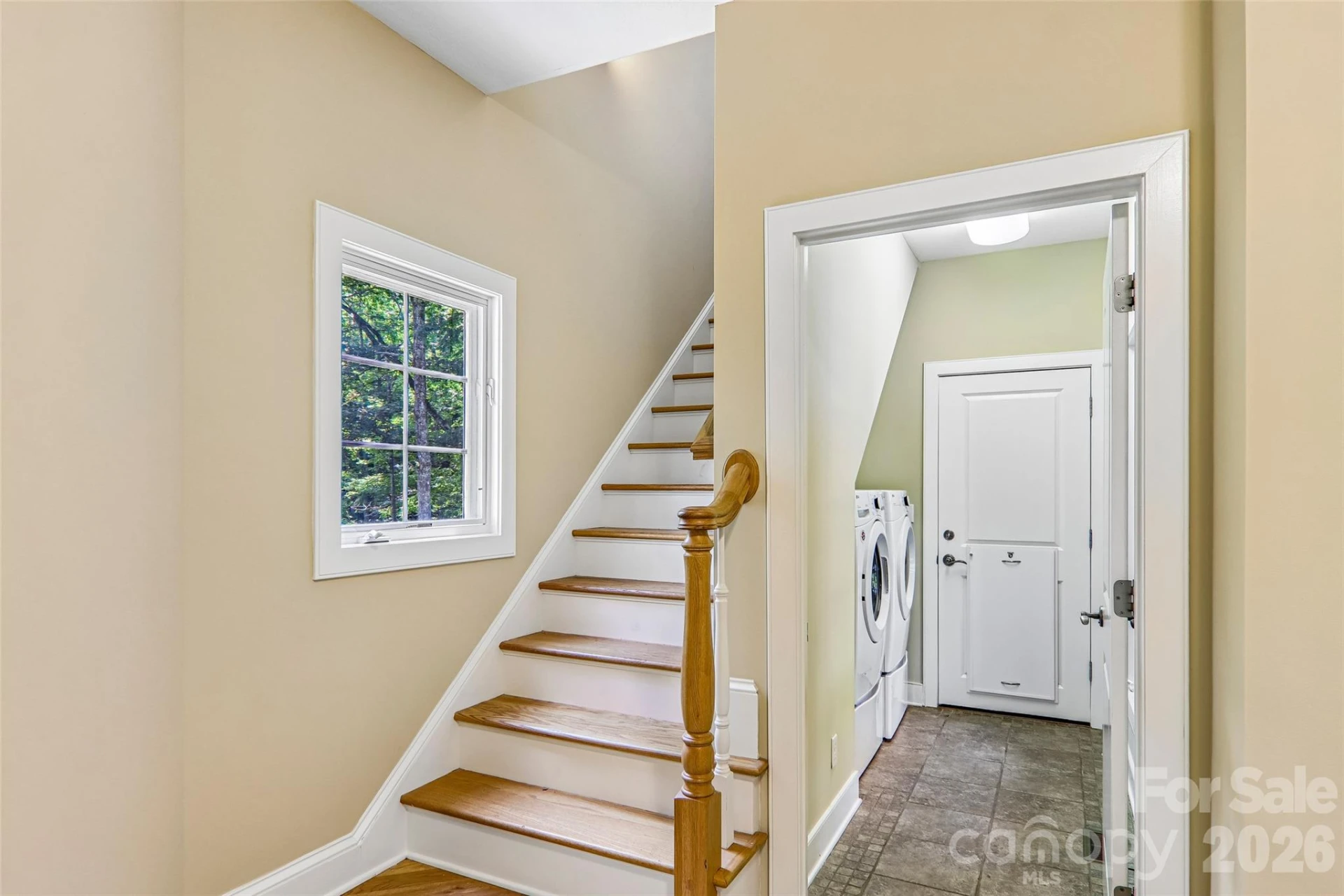 361 Mills River Way - Photo 29