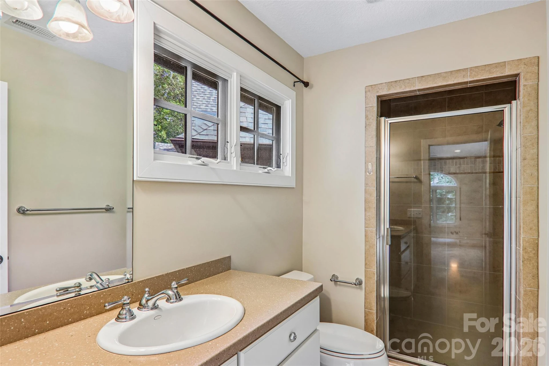 361 Mills River Way - Photo 31