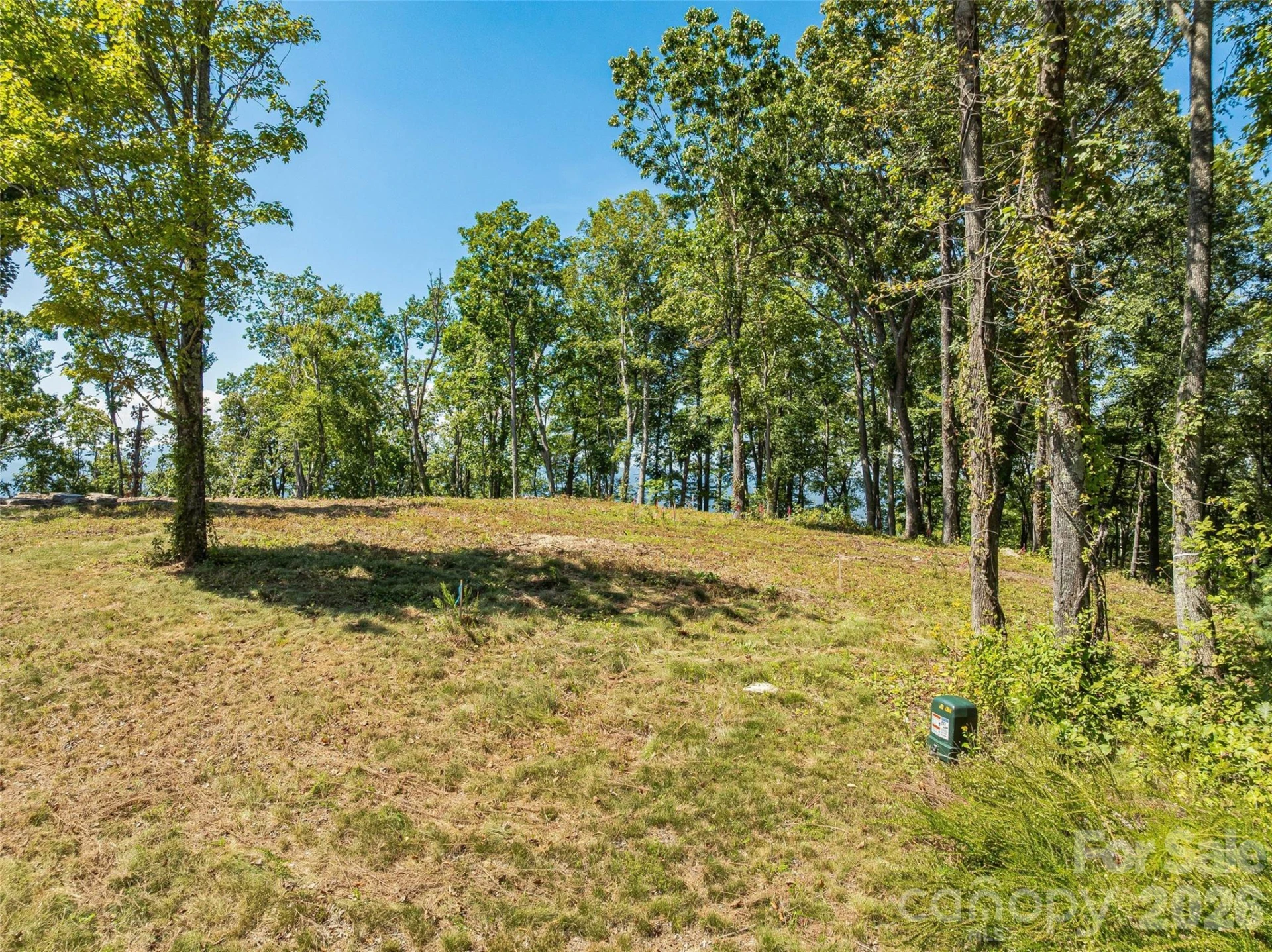Lot 42 Haven View Trail - Photo 2