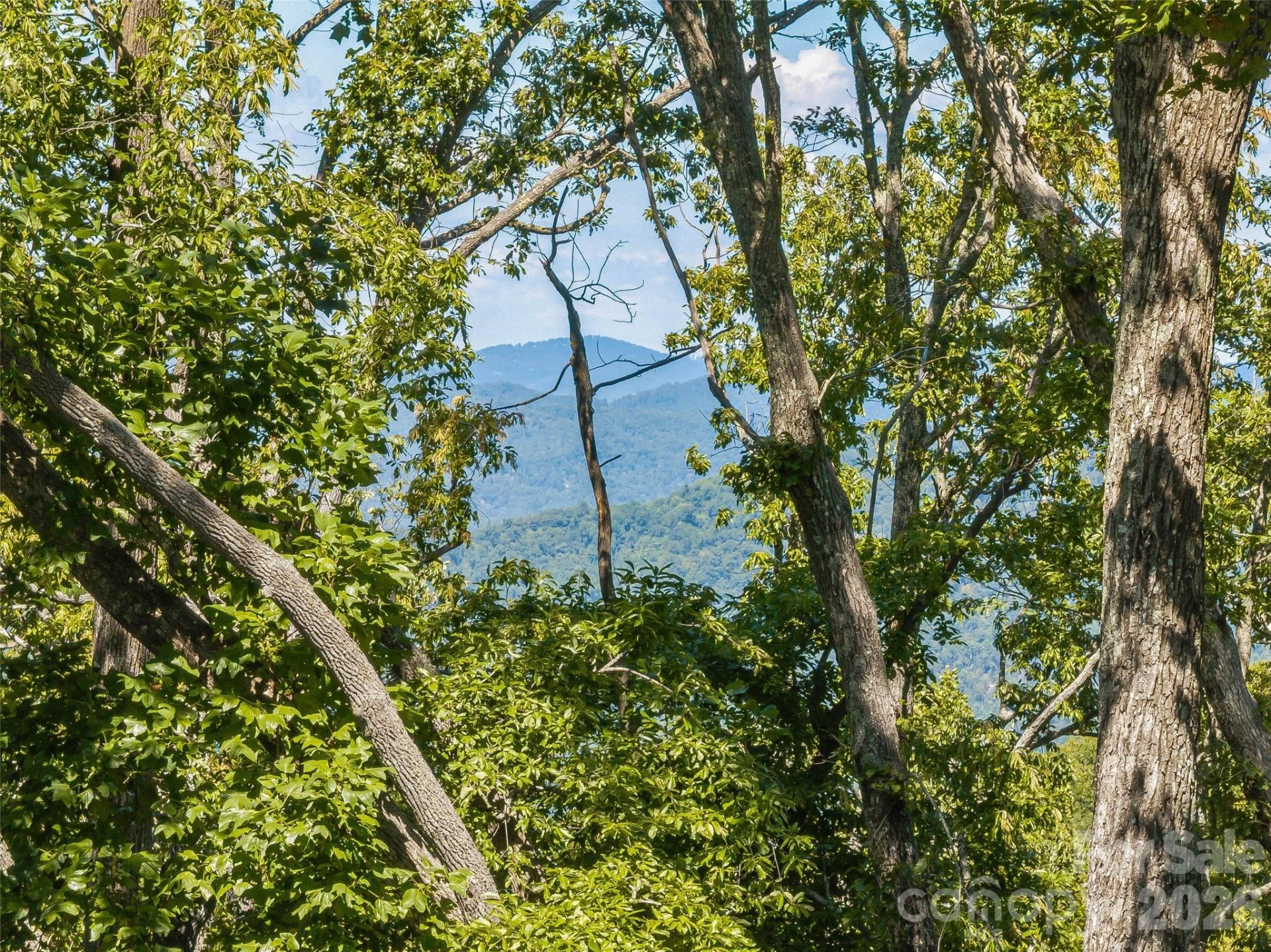 Lot 42 Haven View Trail - Photo 7