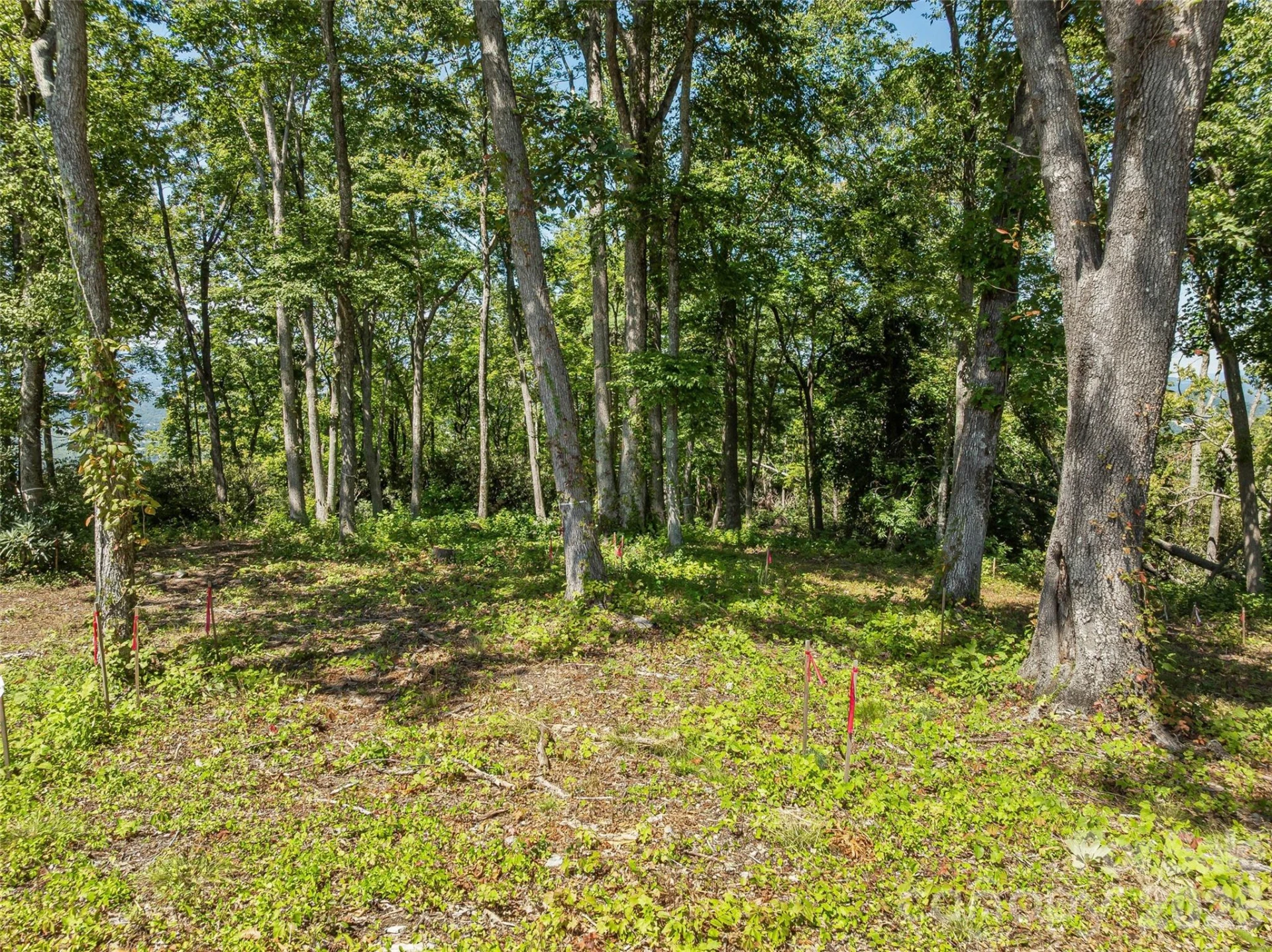 Lot 42 Haven View Trail - Photo 9