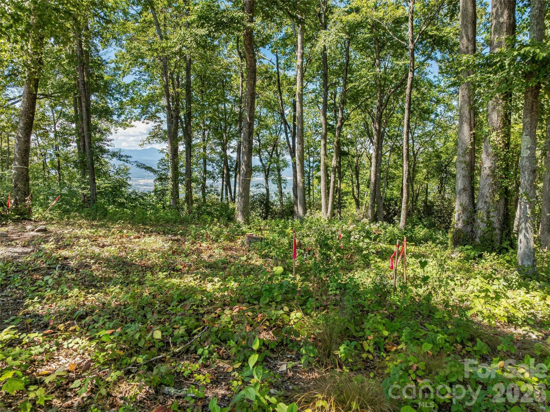 Lot 42 Haven View Trail - Photo 10