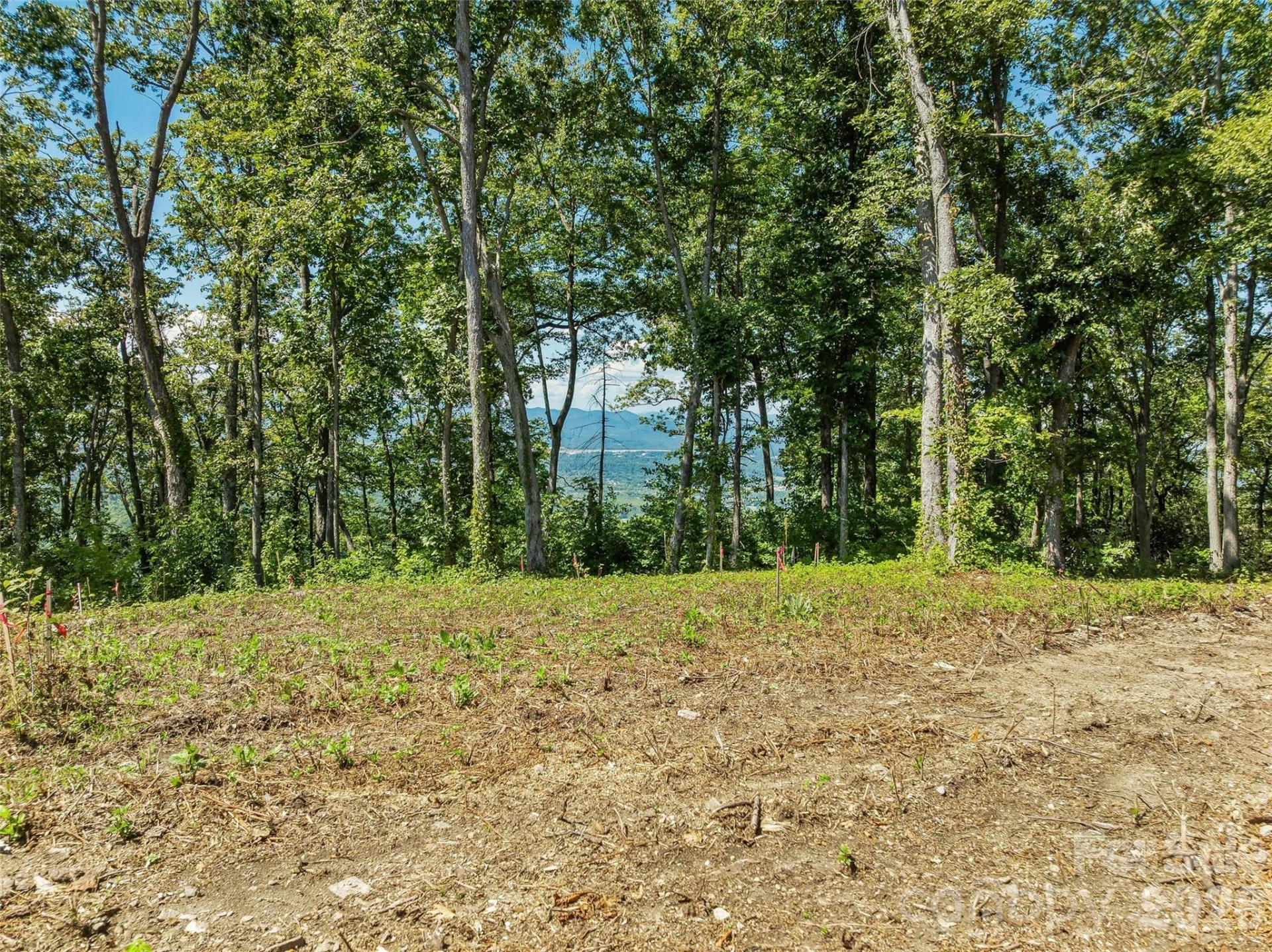 Lot 42 Haven View Trail - Photo 11