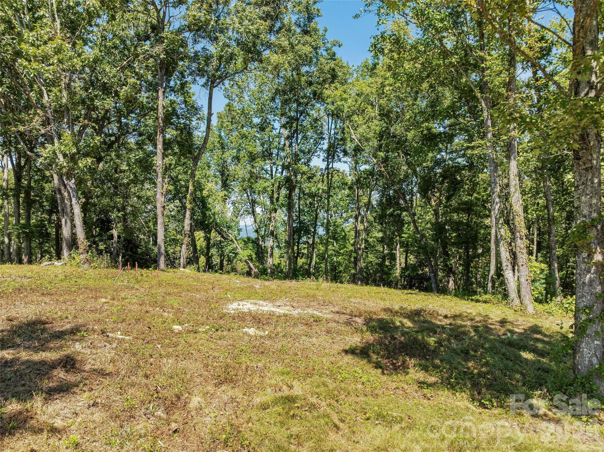 Lot 42 Haven View Trail - Photo 12