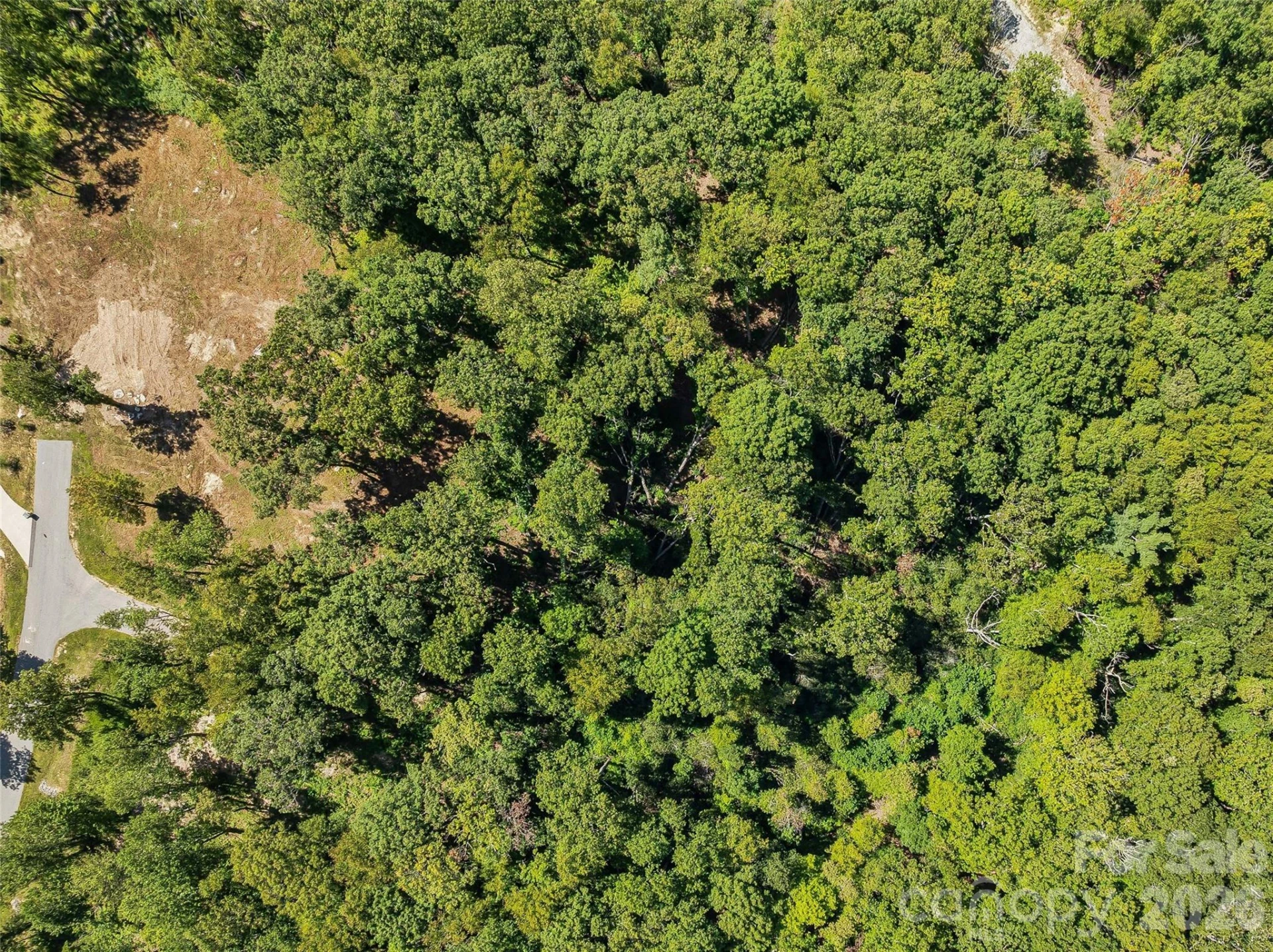 Lot 42 Haven View Trail - Photo 13