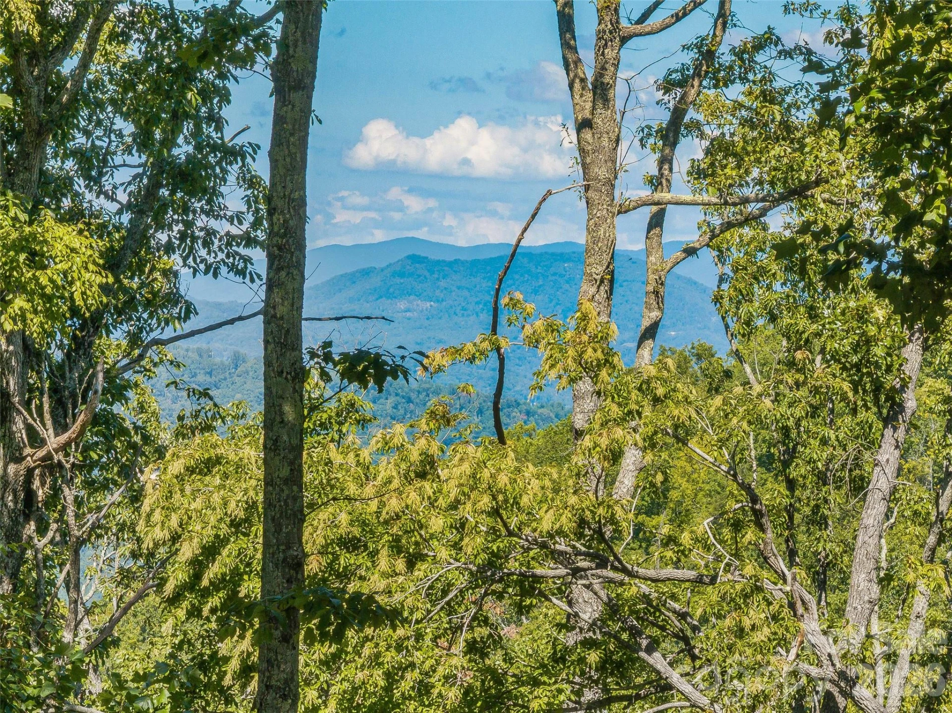 Lot 43 Haven View Trail - Photo 5