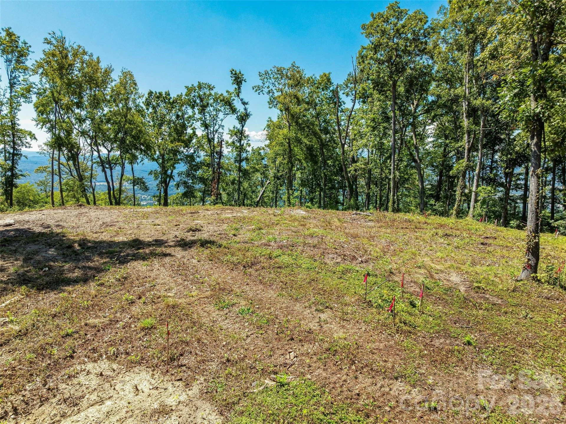 Lot 43 Haven View Trail - Photo 8