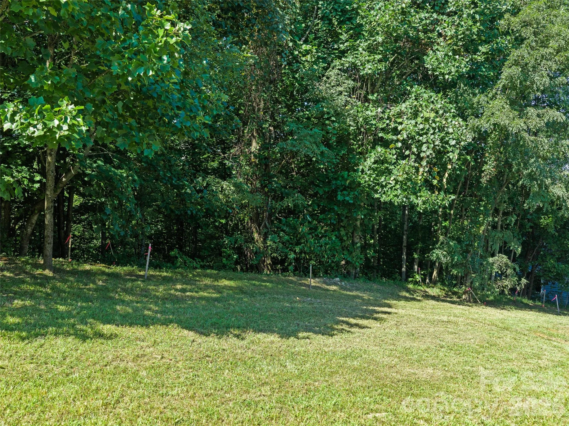 95 Deep Valley Lane - Photo 6