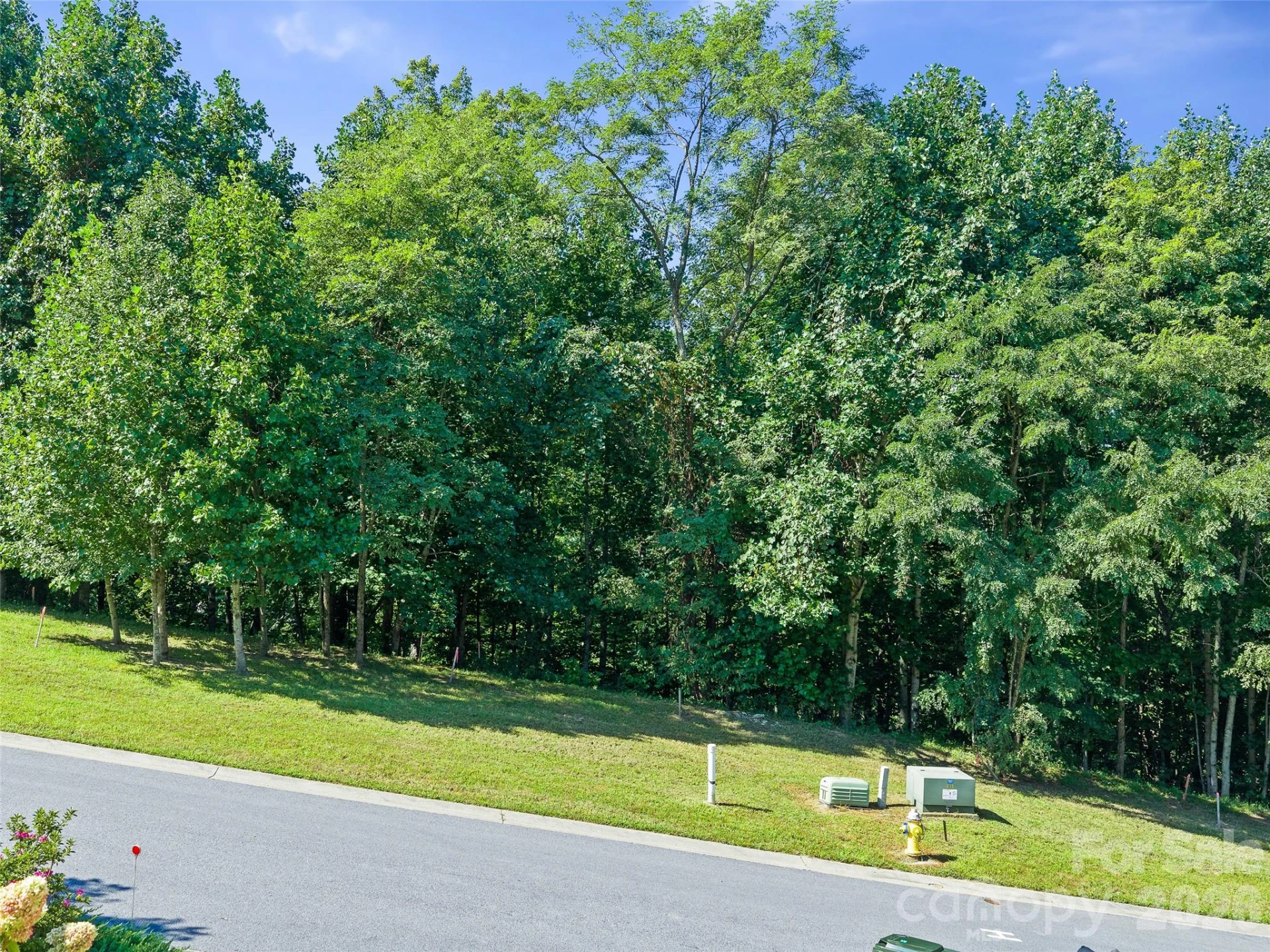 95 Deep Valley Lane - Photo 7