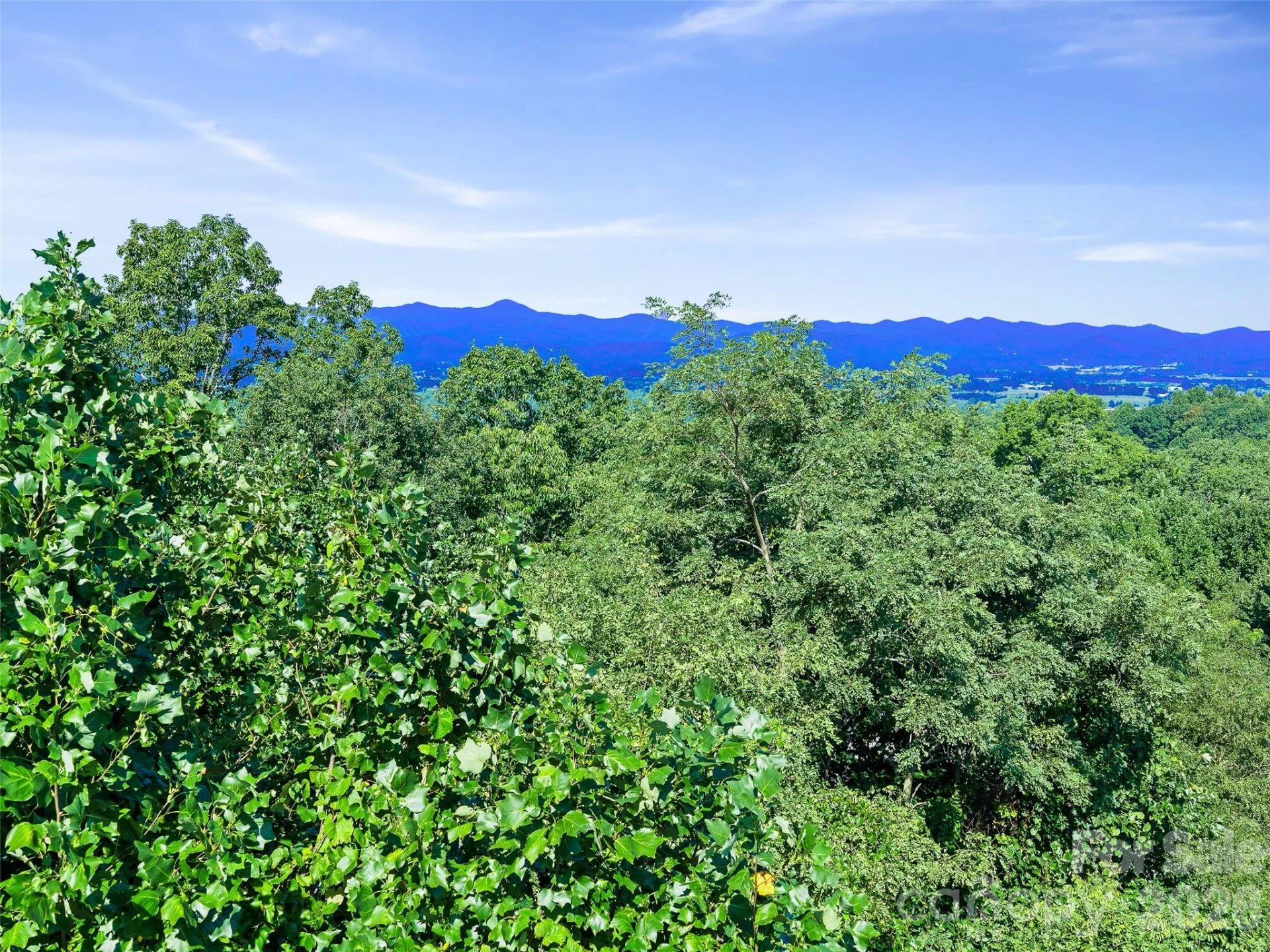 95 Deep Valley Lane - Photo 11