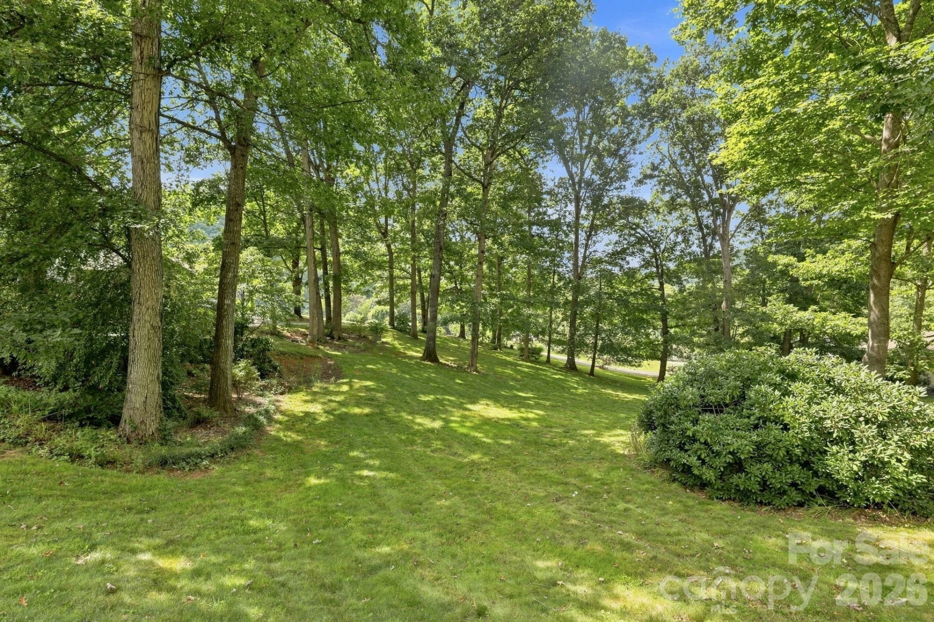 95 Holly Ridge Road - Photo 8