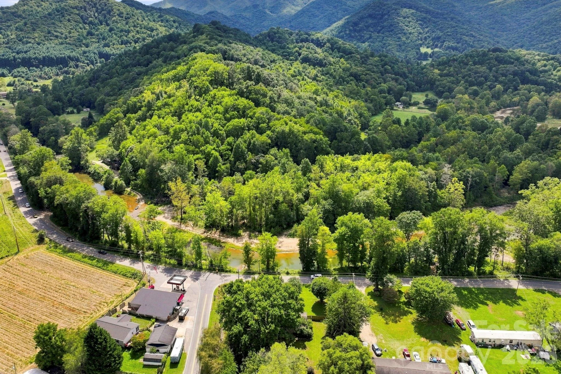 10687 Cruso Road - Photo 4
