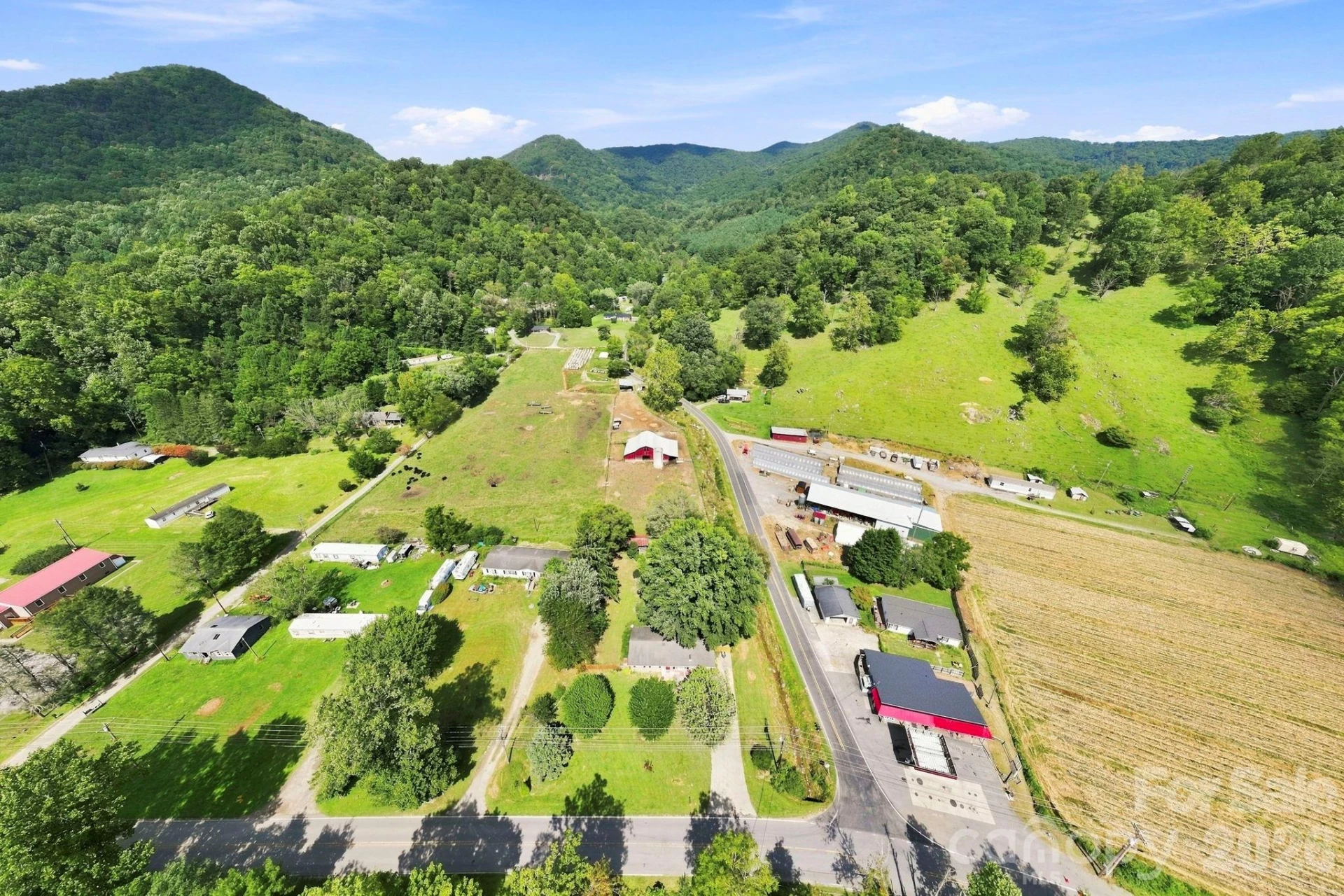 10687 Cruso Road - Photo 30