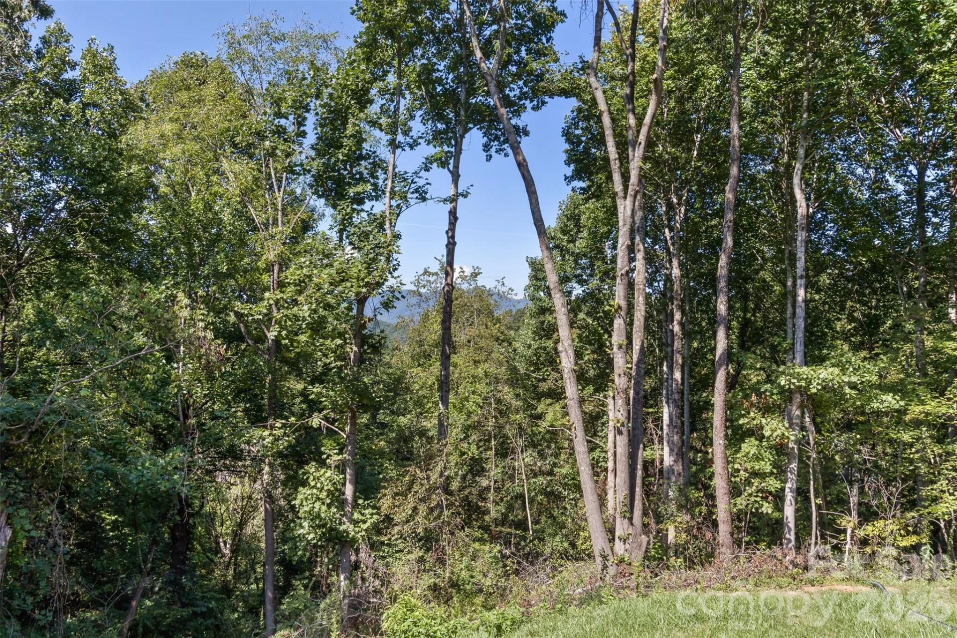 340 Matthew Lane - Photo 38