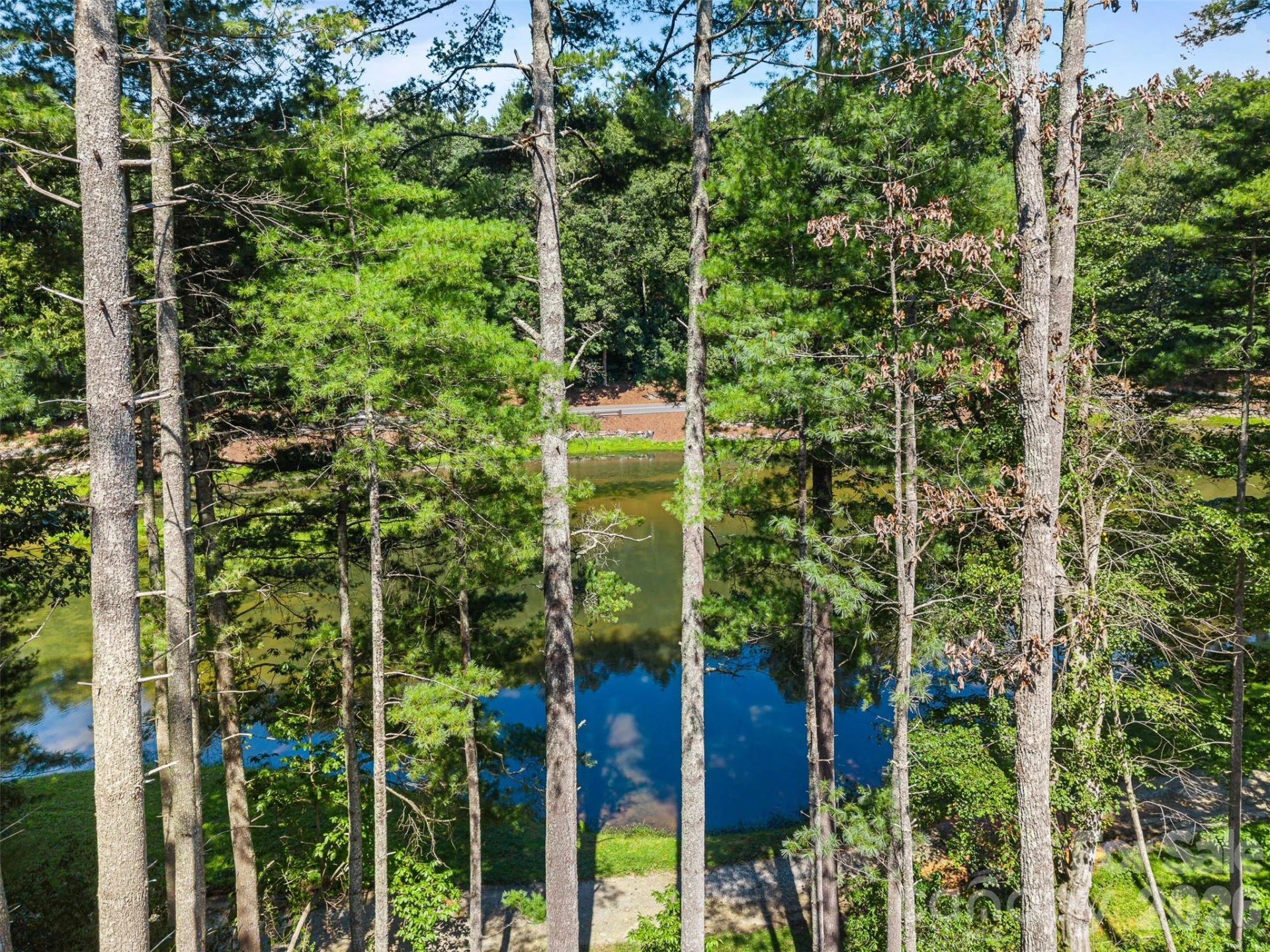 56 Hidden Hills Way #27 - Photo 11