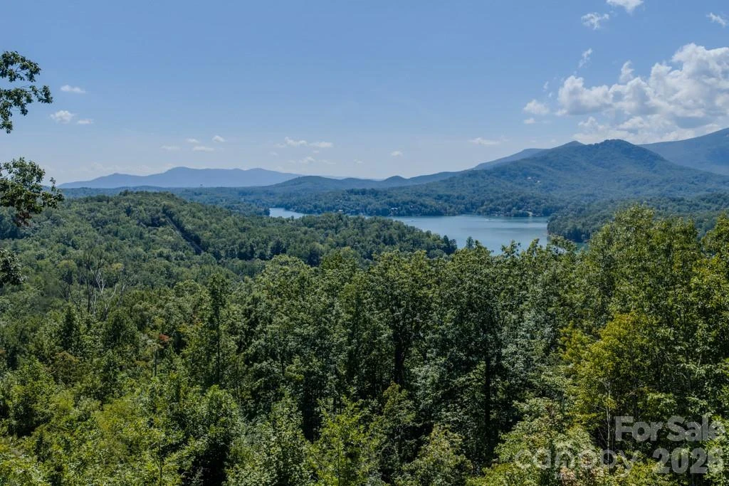 167 Hawks Nest Trail - Photo 3