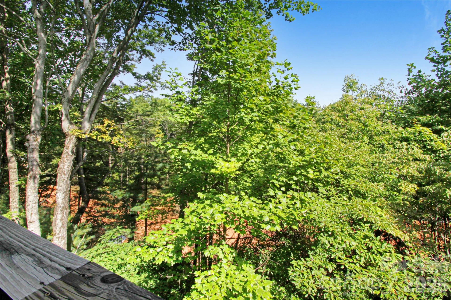 73 Toxaway Views Drive #303 - Photo 11