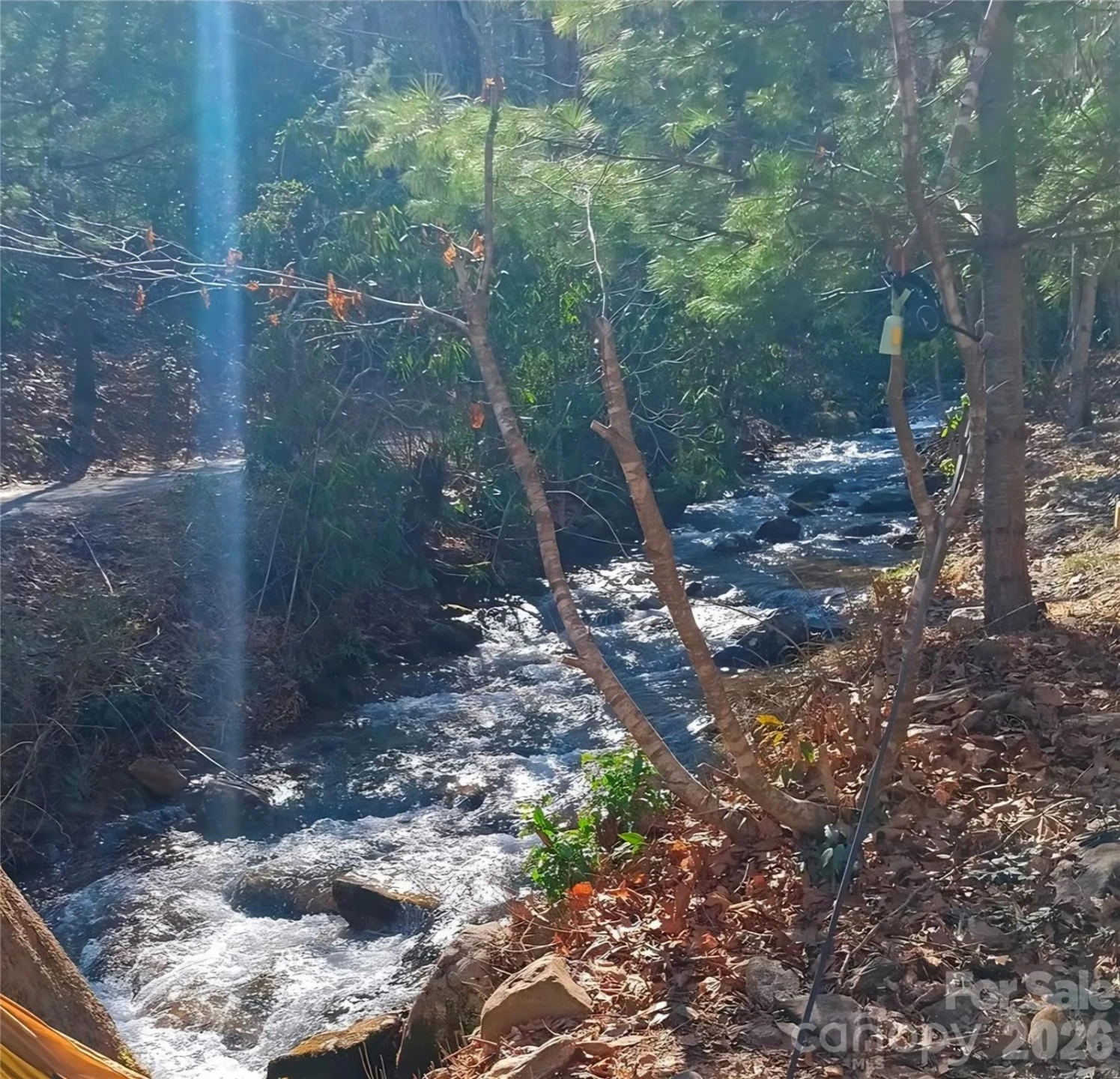 174 Nix Creek Road - Photo 10