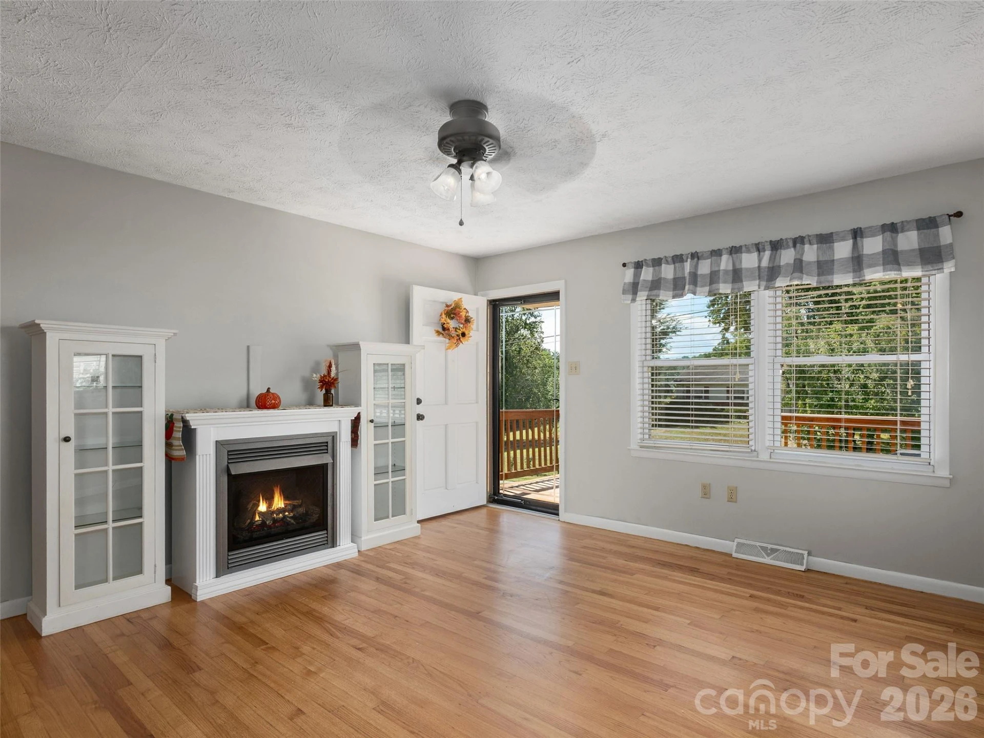 403 Lower Grassy Branch Road - Photo 3