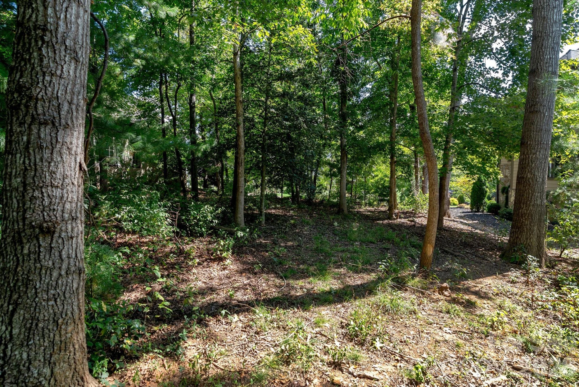 16 Mountain Orchid Way #CWC-CP-085 - Photo 3