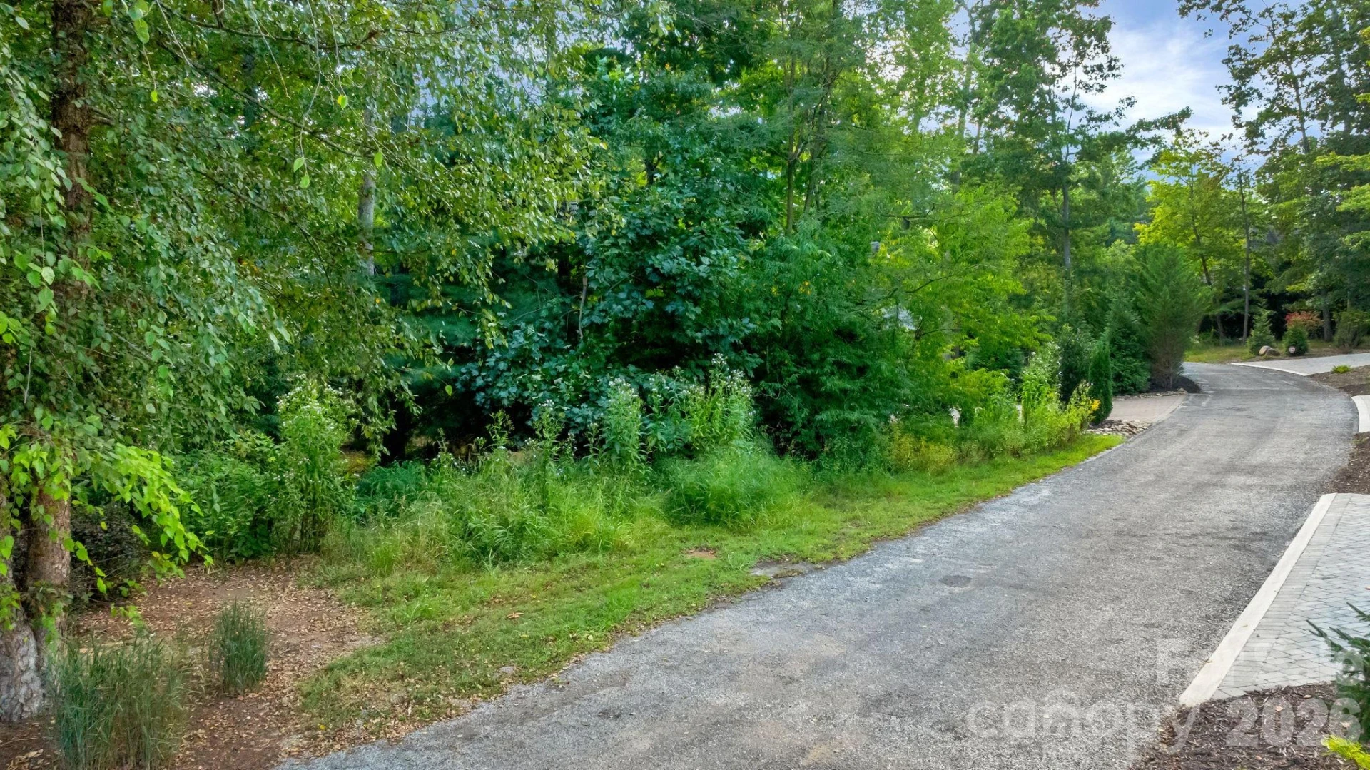 16 Mountain Orchid Way #CWC-CP-085 - Photo 9