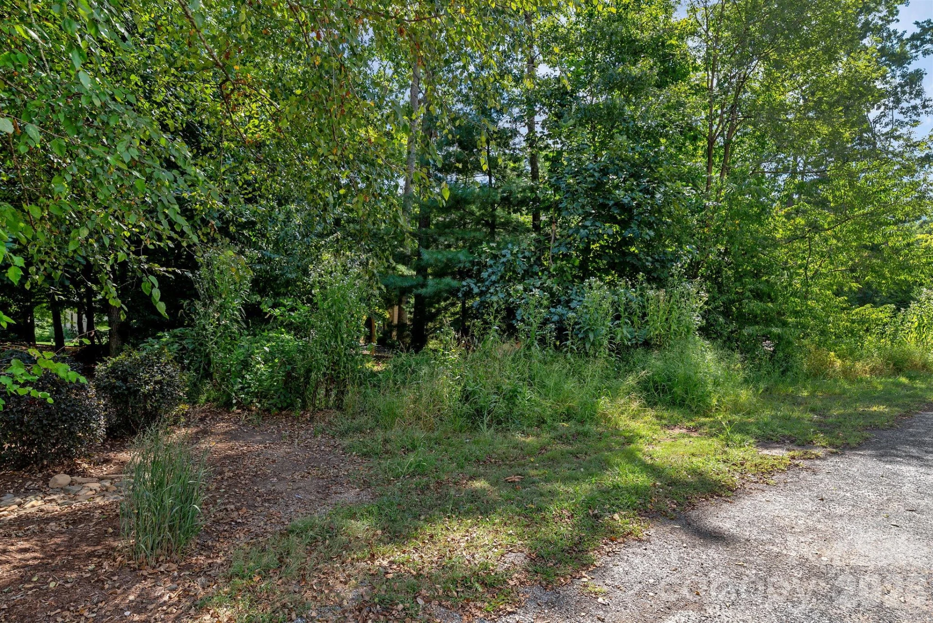 16 Mountain Orchid Way #CWC-CP-085 - Photo 10