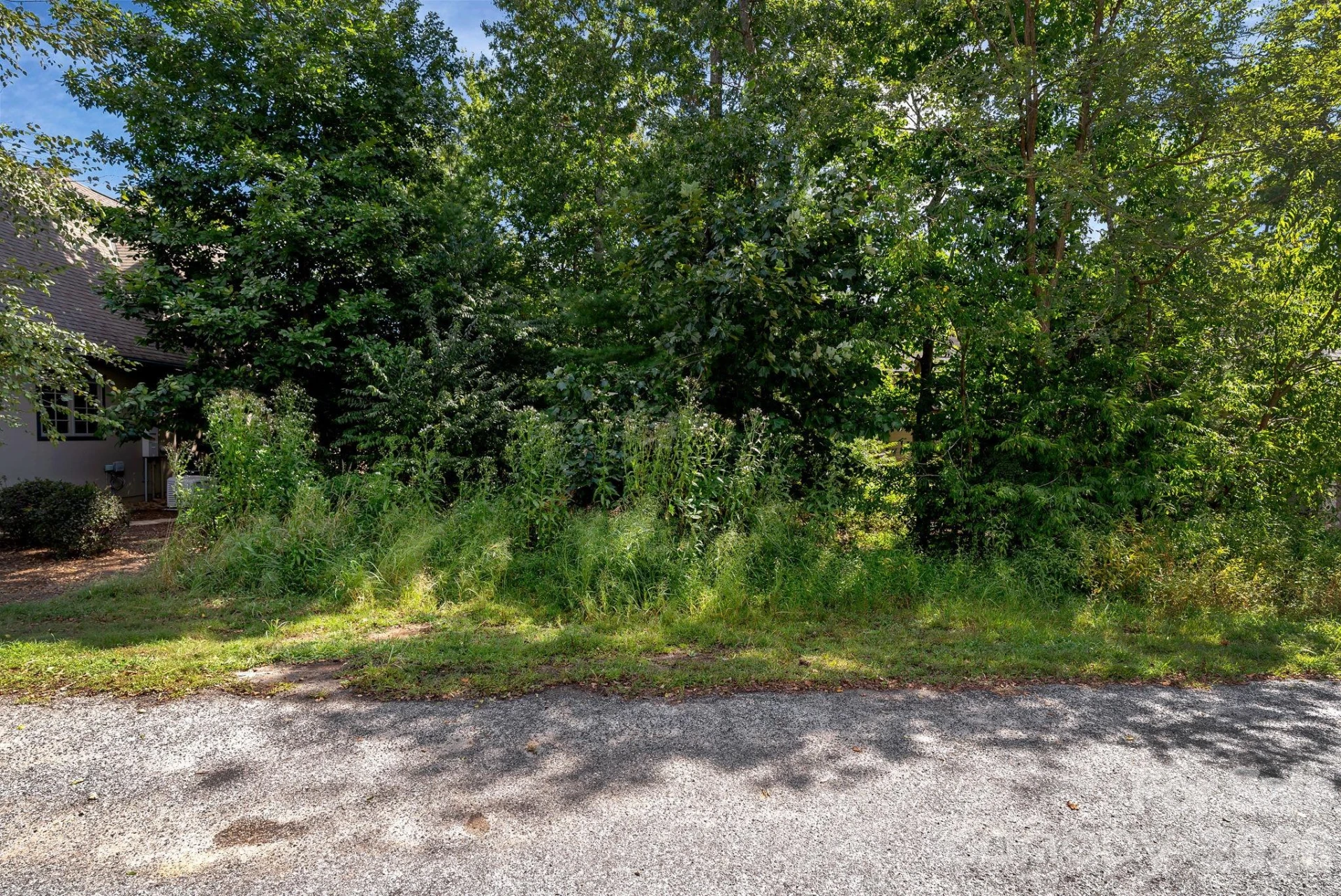 16 Mountain Orchid Way #CWC-CP-085 - Photo 11