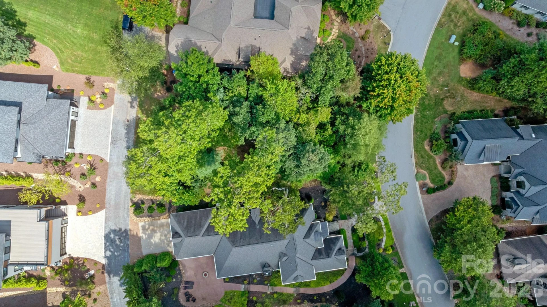 16 Mountain Orchid Way #CWC-CP-085 - Photo 15