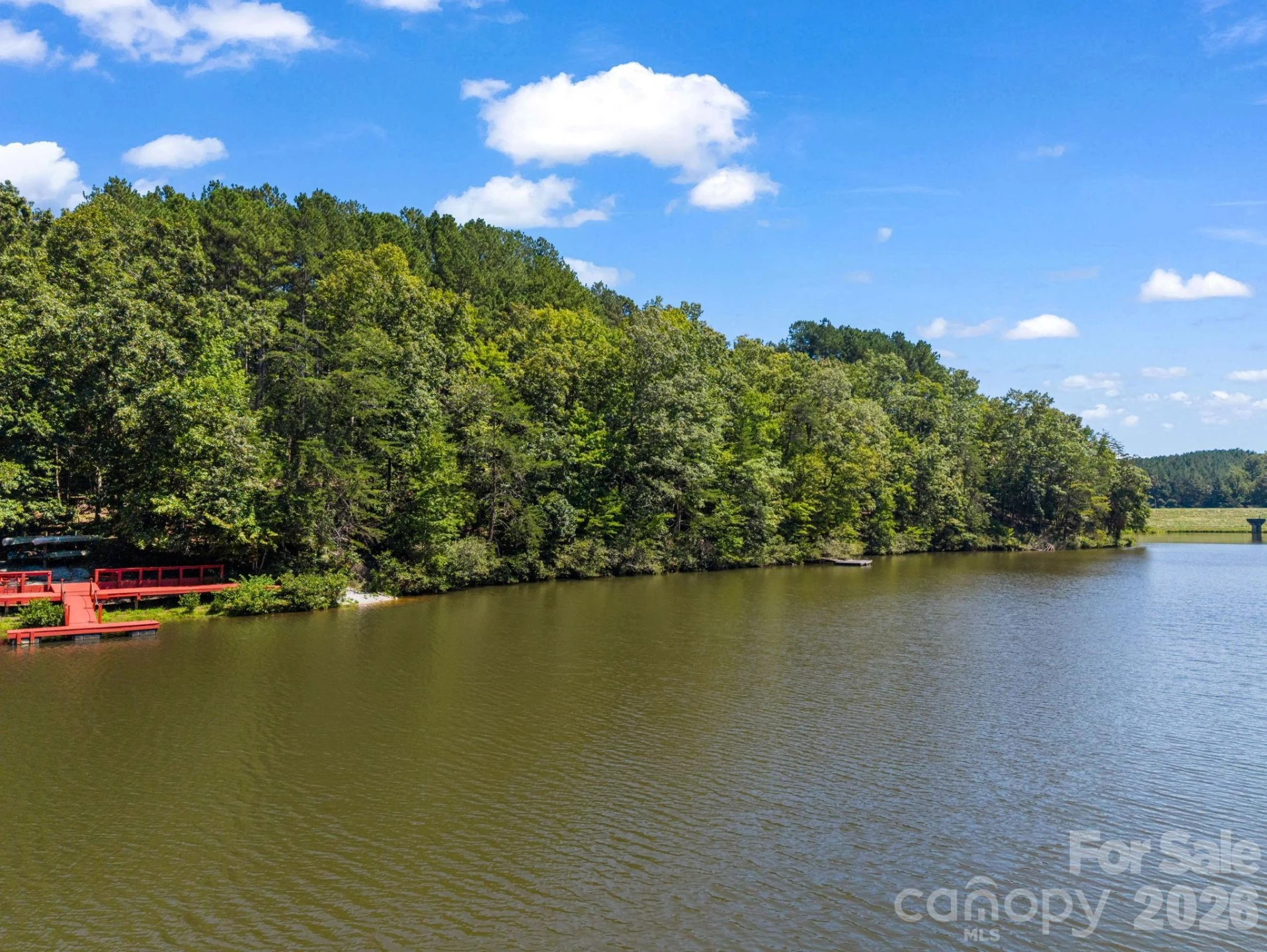 106 Lake Terrace Drive - Photo 44