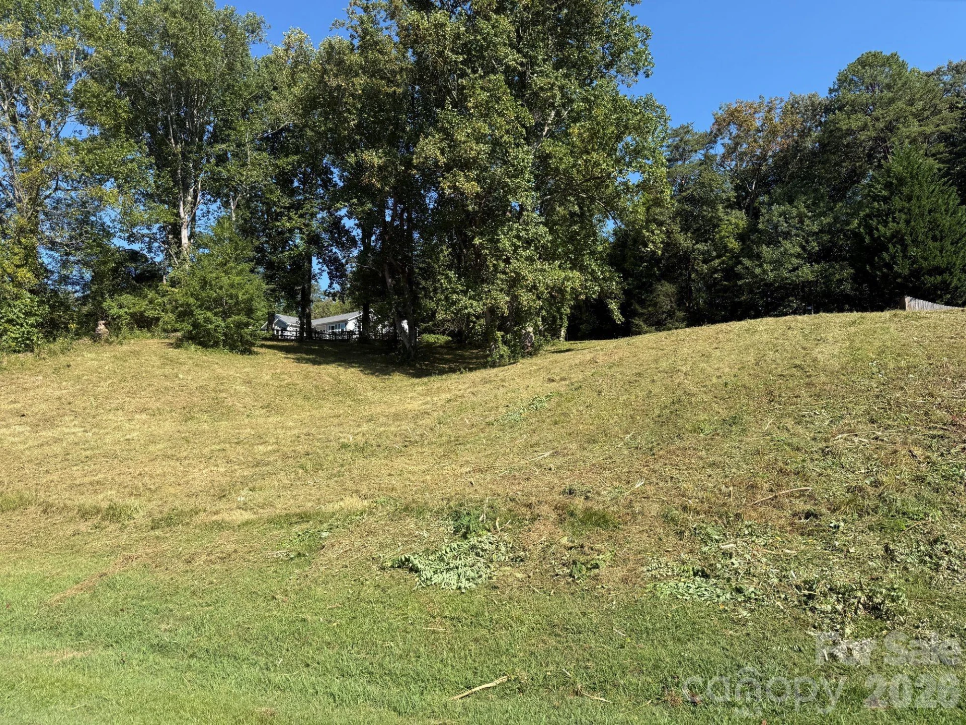 28 Shallow Branch Road - Photo 2