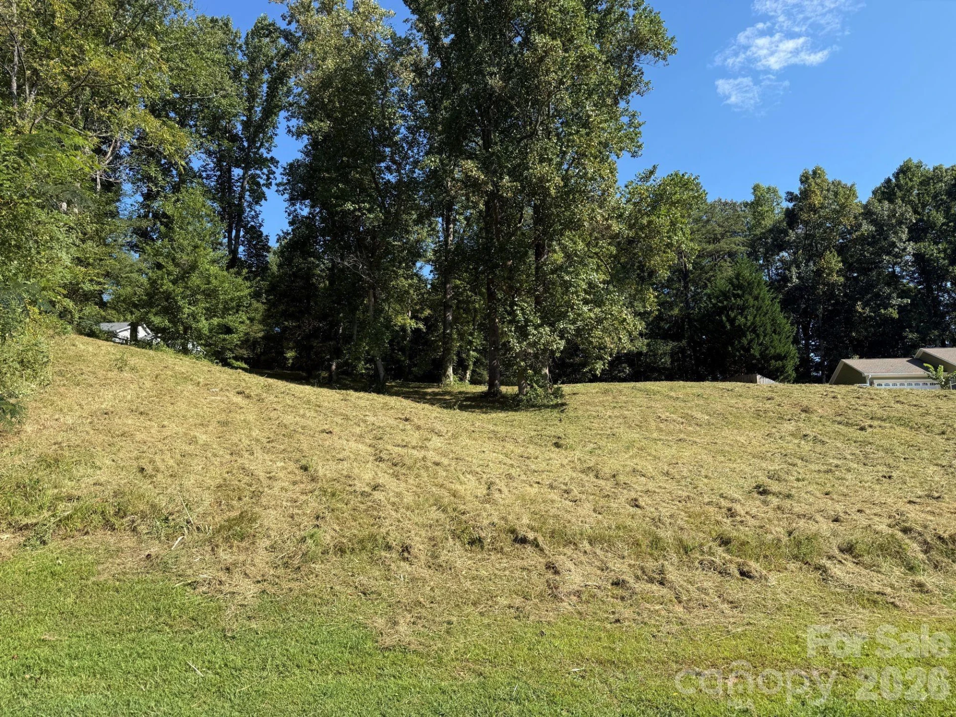 28 Shallow Branch Road - Photo 3