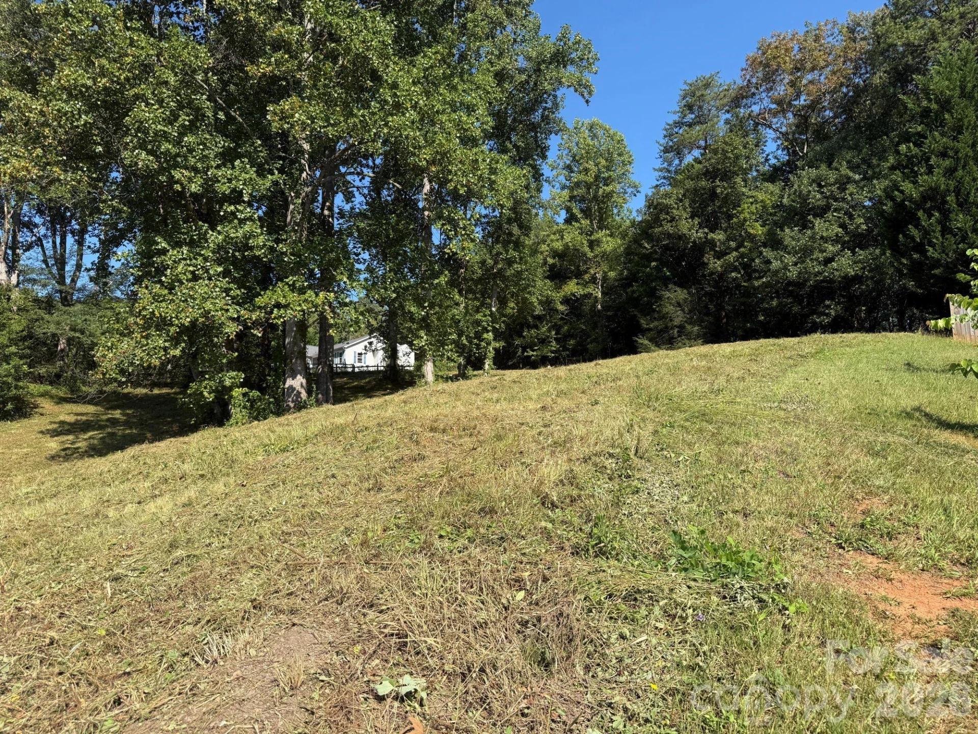 28 Shallow Branch Road - Photo 4