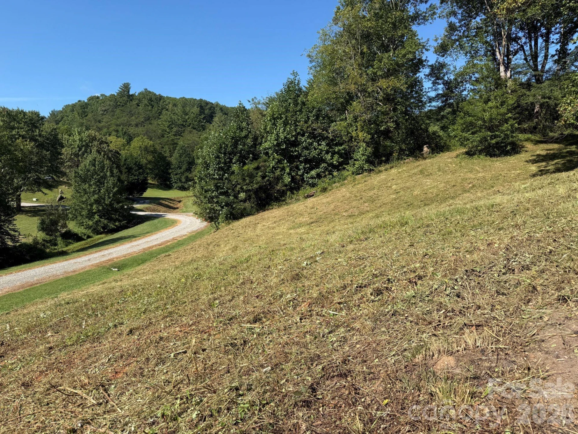 28 Shallow Branch Road - Photo 5