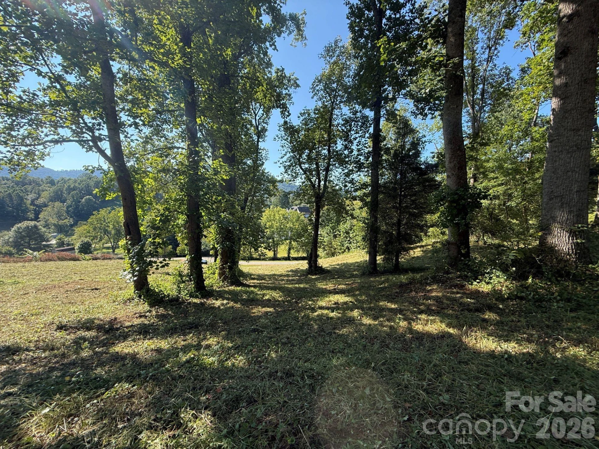 28 Shallow Branch Road - Photo 9
